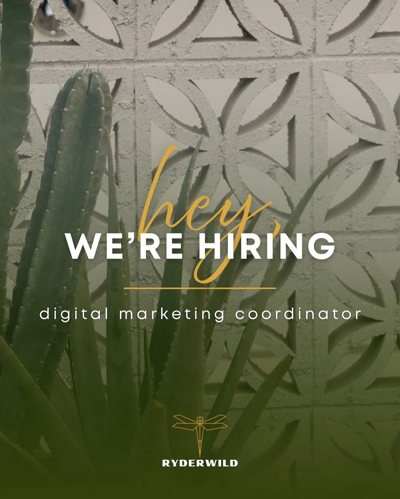 If you know us, then you already know this, but - we’re just going to be really honest.
Our team is small, strategic, scrappy, and creative — equal parts can-do/self-starter and collaborative. We show up for our clients, for each other,