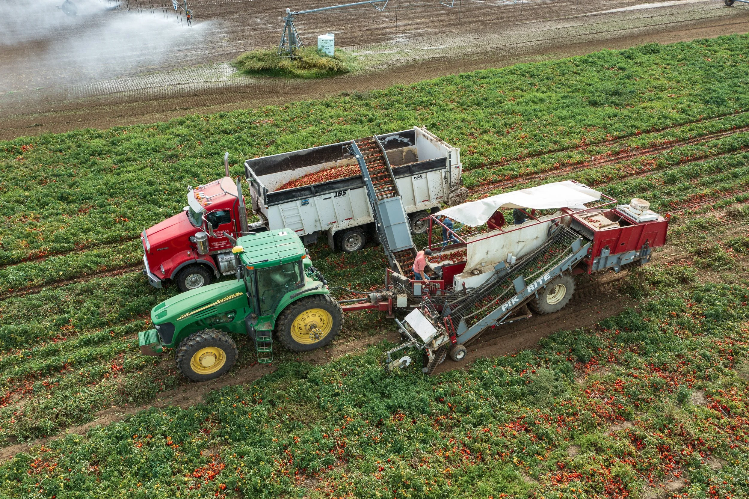 BSF-Farm-38.jpg