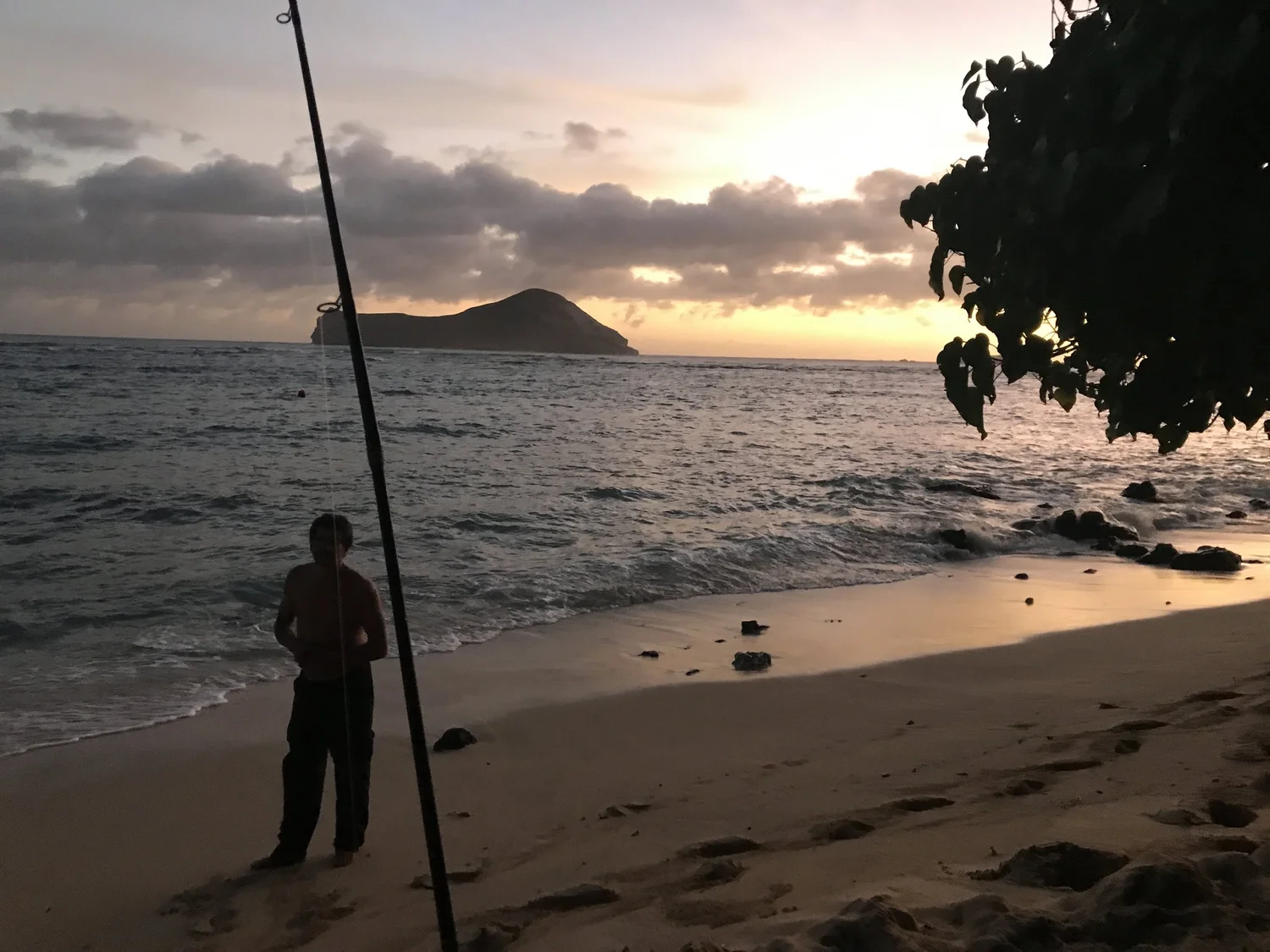 Ulua, image 2