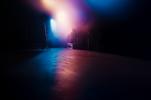 The Musician, image 3
