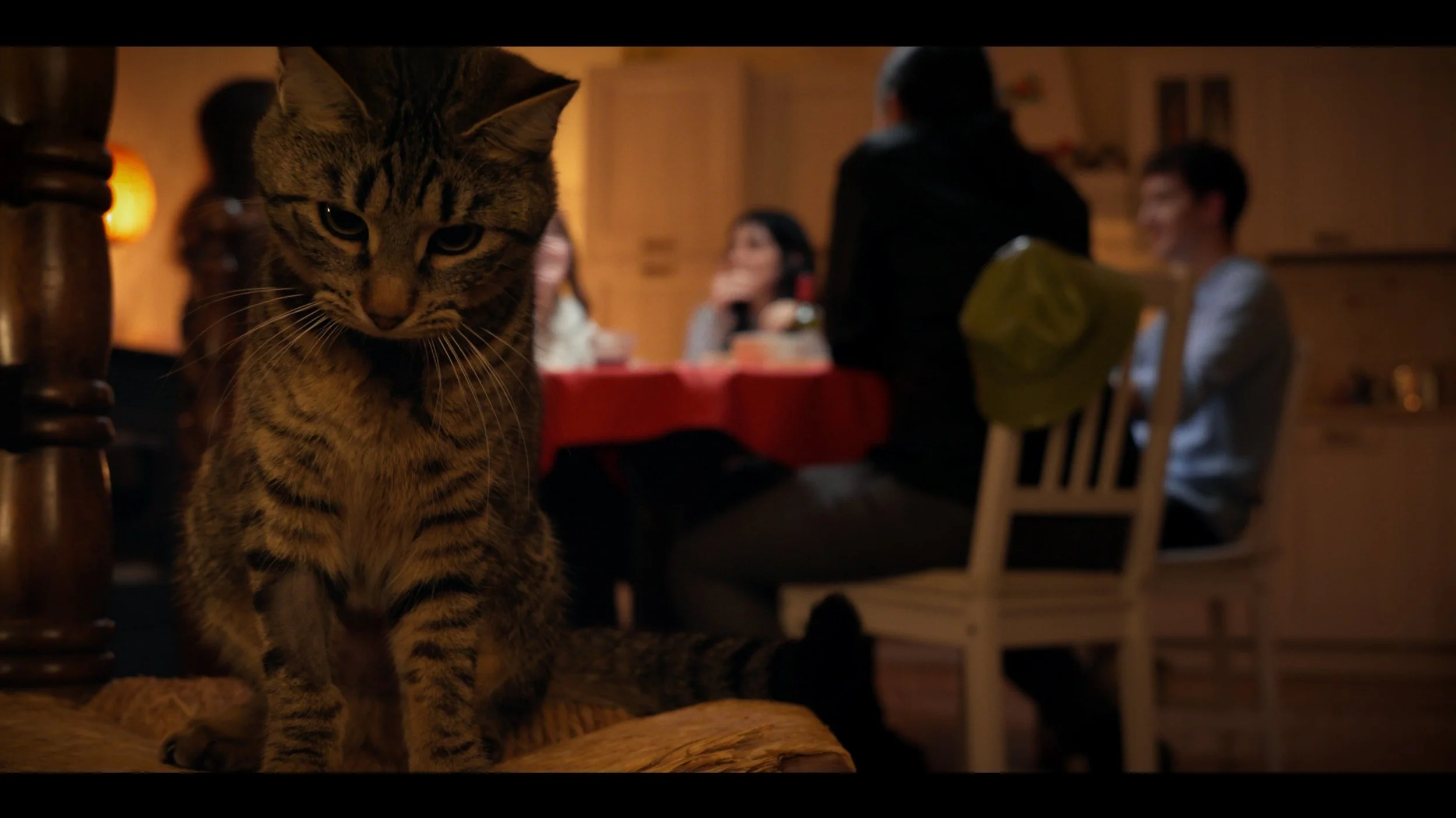 Out Of The Bag 01.0.jpeg