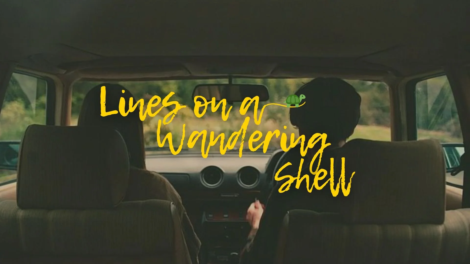 Still from Lines on a Wandering Shell