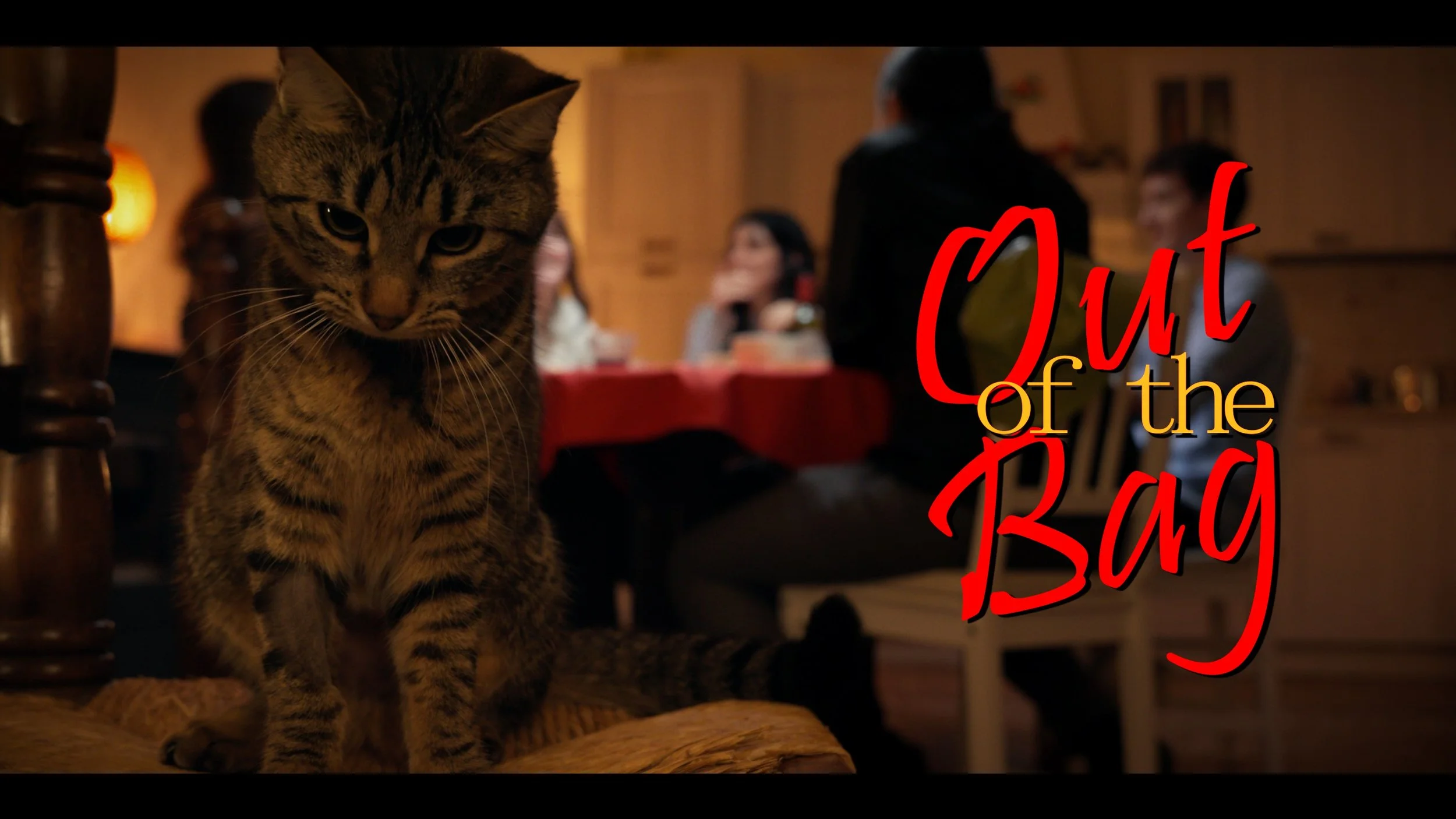 Out Of The Bag 01.1.jpeg