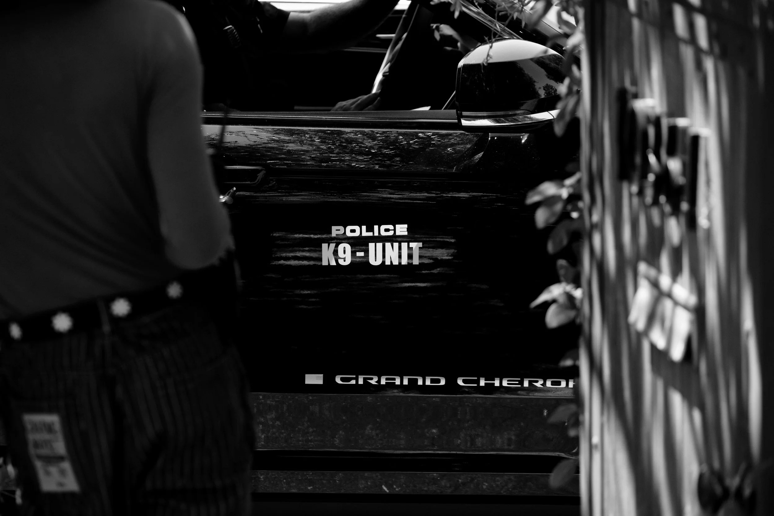 CFA080225-12.jpg