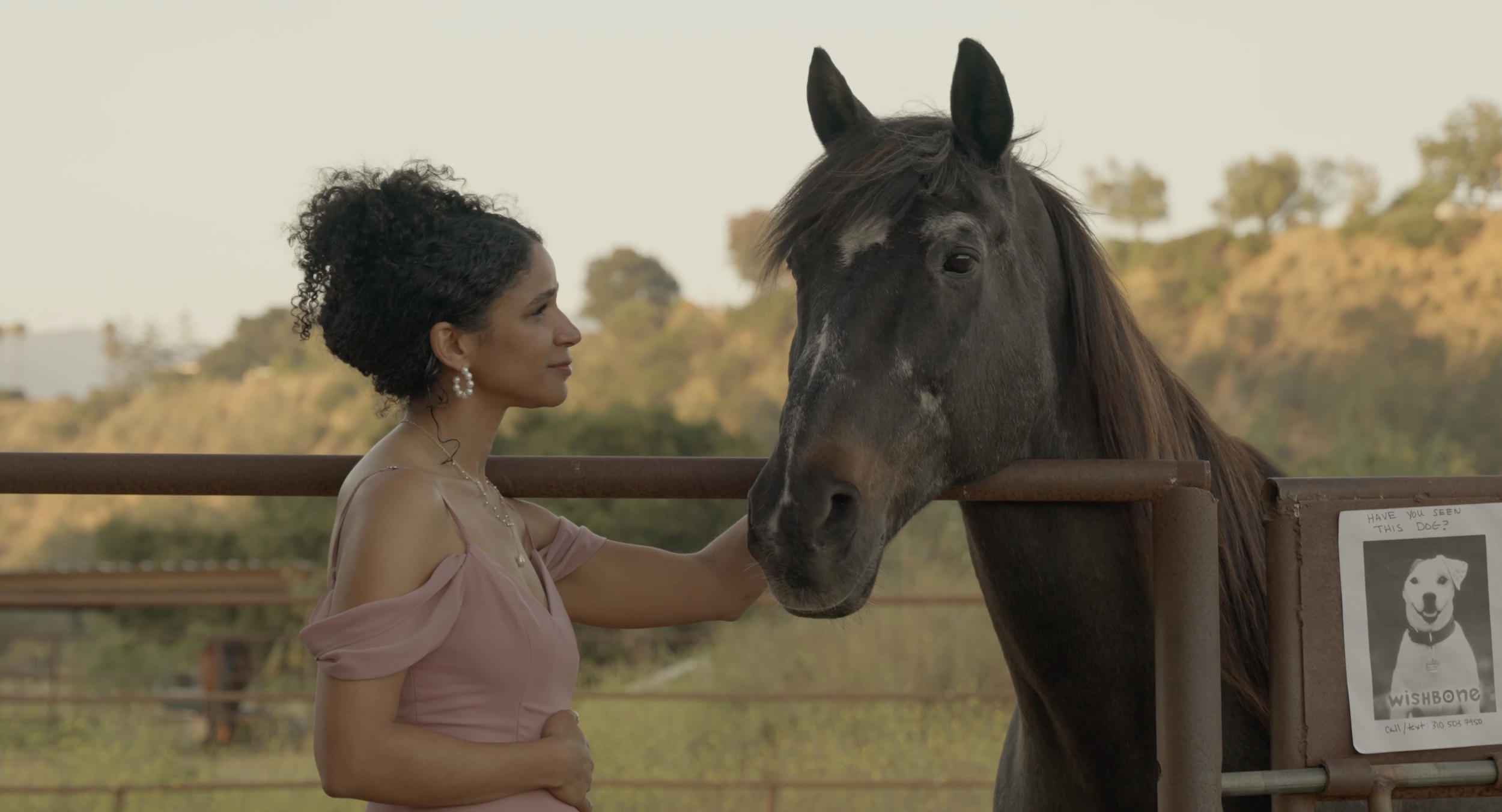 If Wishes Were Horses