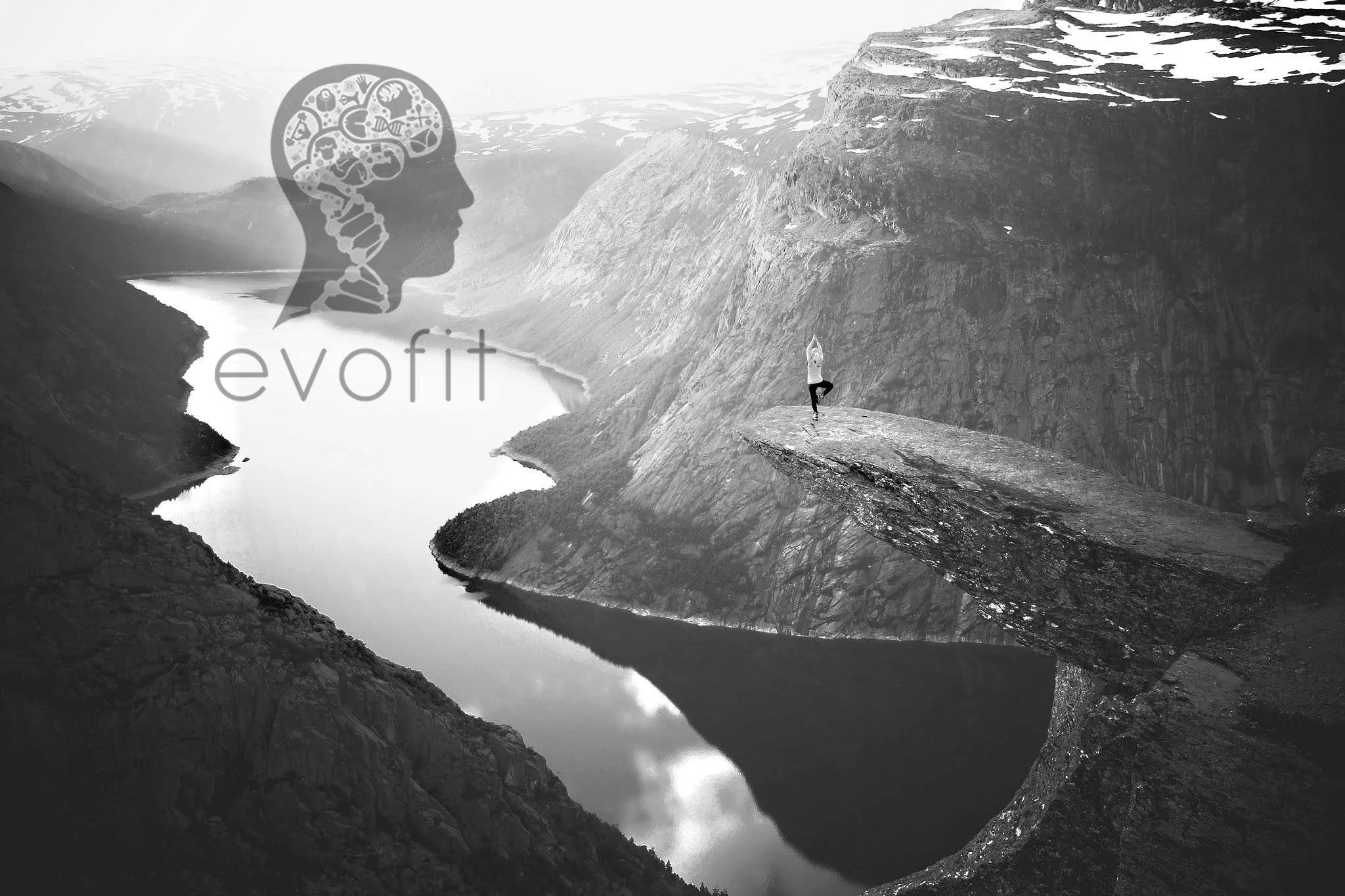 Evofit-Landscape1 copy.jpeg