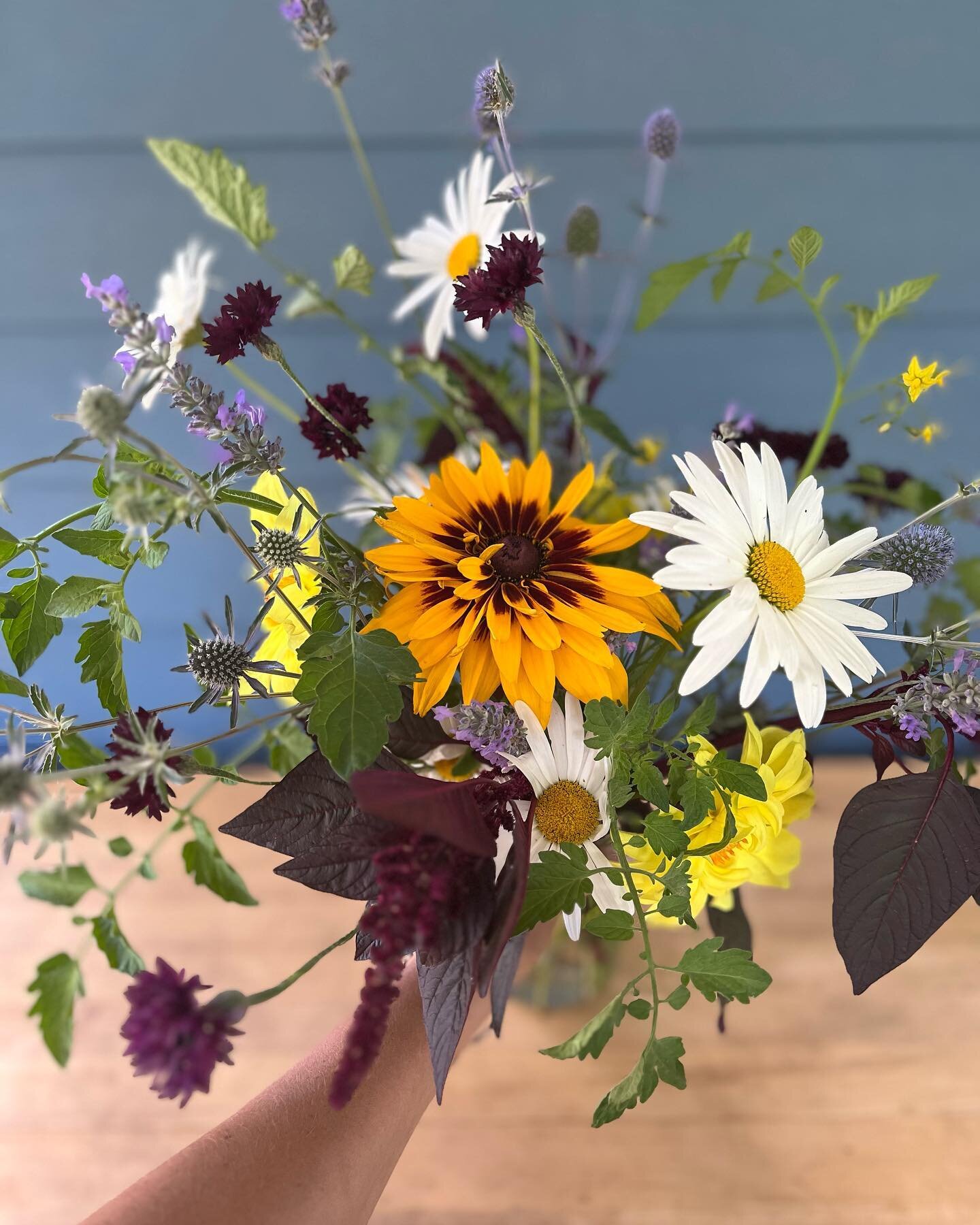 Sprightly little bouquet featuring the first Denver Daisy rudbeckia of the season! #flowers #bouquets #flowerfarmer #csa #summer