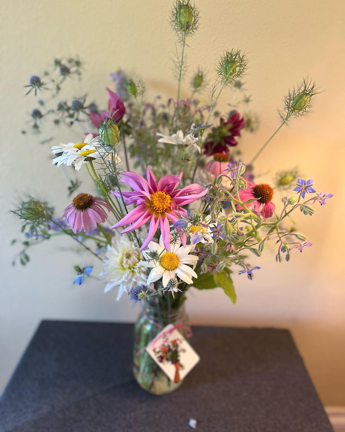 in love with this sparky little bouquet I made as a backup for the 47th Ave farm csa sample. You know how sometimes things grow on you? The textures and colors here have sort of started to settle in together. Maybe it&rsquo;s because those blue borag