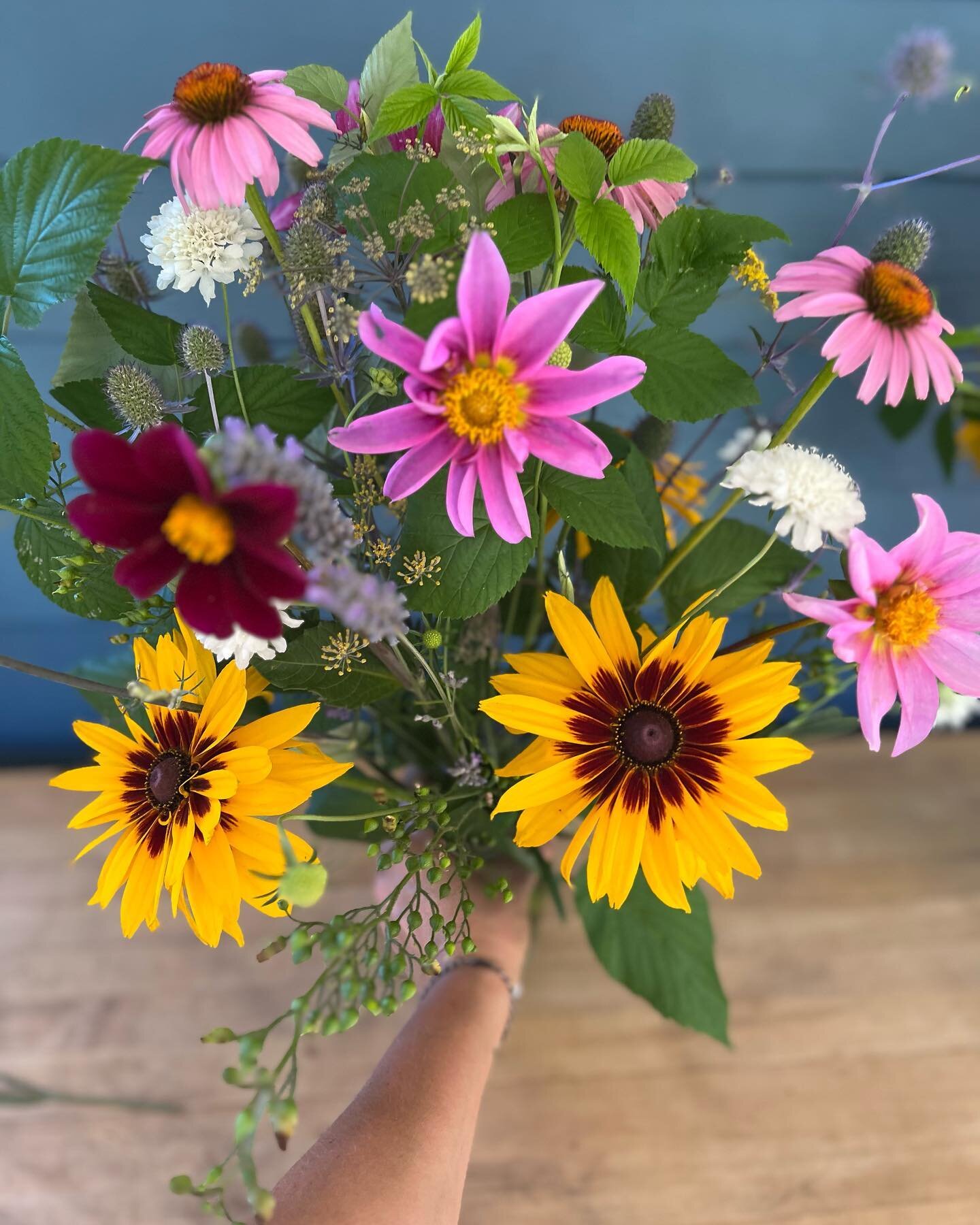 I tried to take some photos of the bouquets for the csa subscriptions today but kept getting all distracted by the bees landing in the bouquets (as you can probably tell:) I mean, if they are good enough for the bees they are good enough for me! #bee