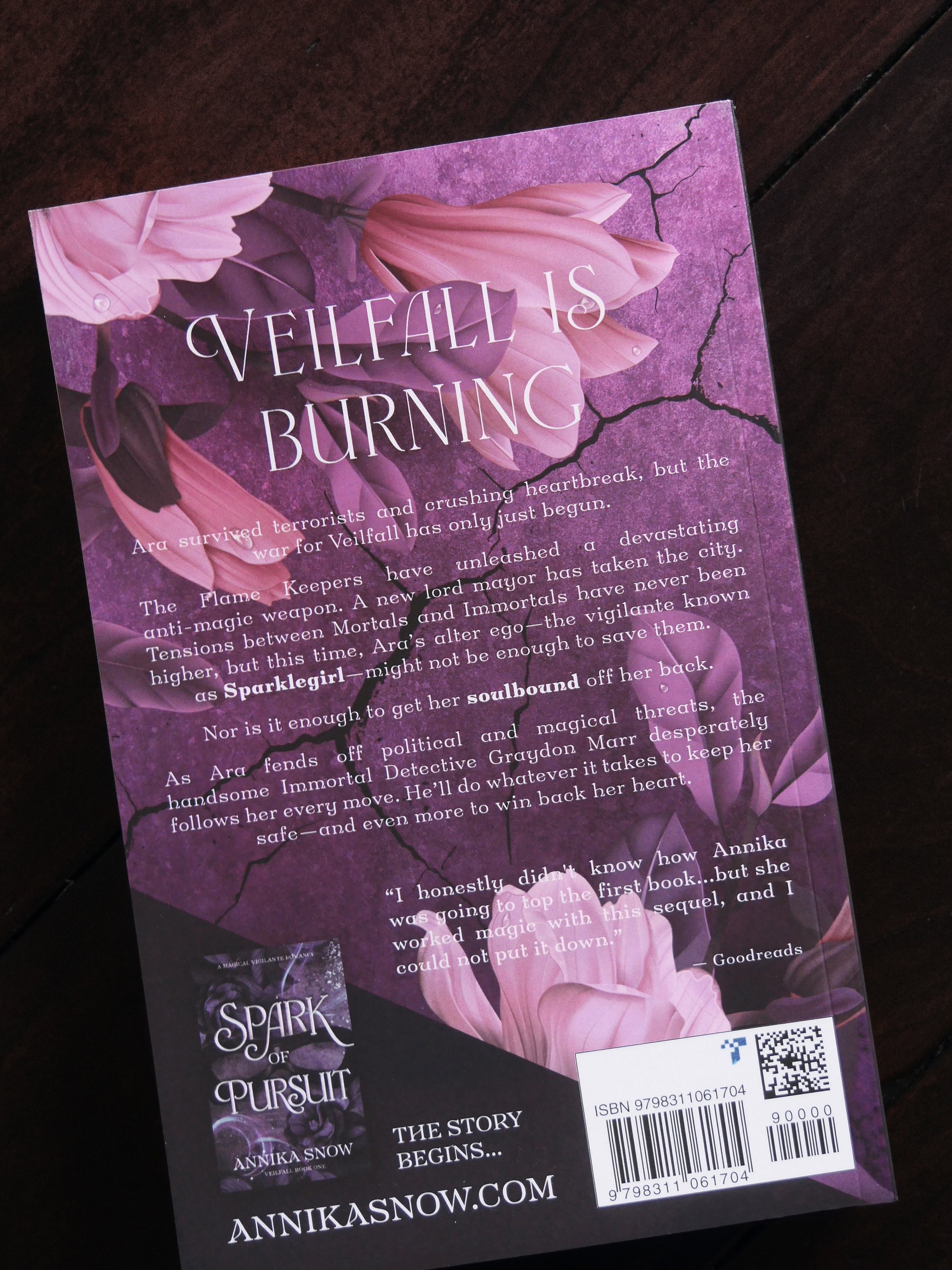 Veilfall-new covers-4 copy.jpg