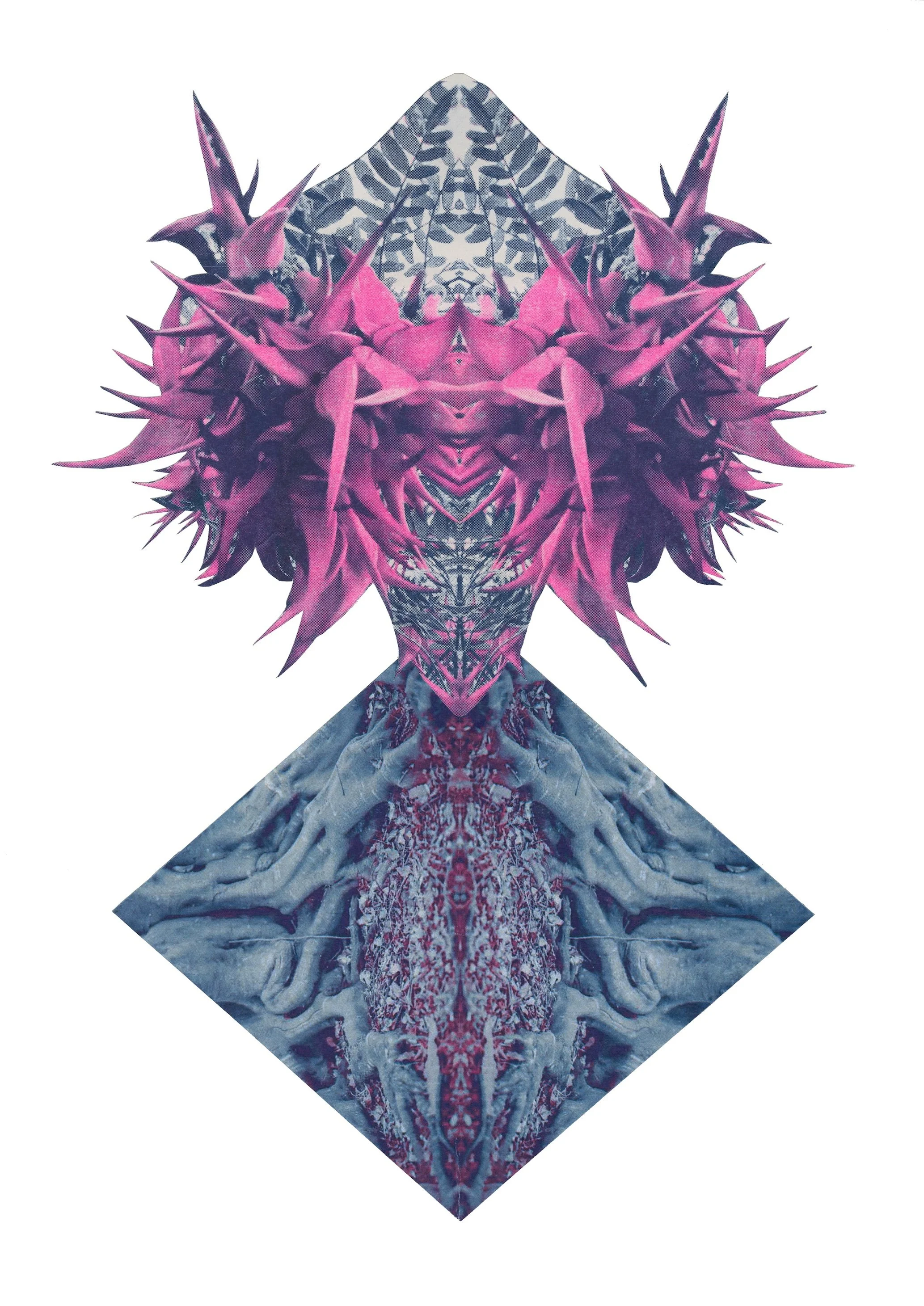 Kākano Archival Print (Tipua Series)