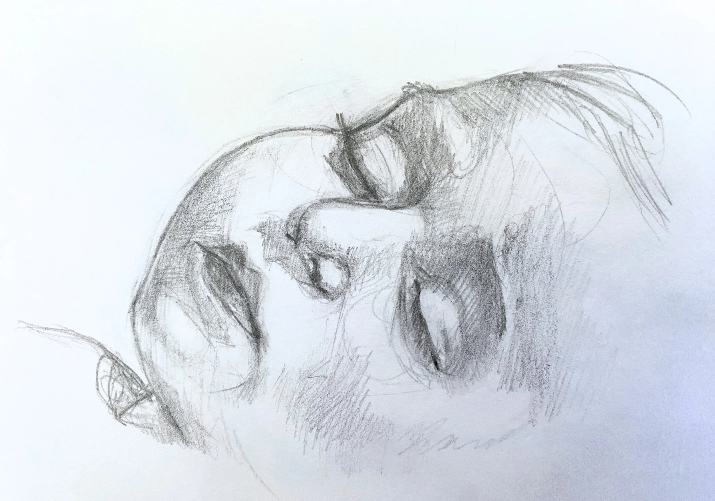 IMG_5051 - Edited.jpg