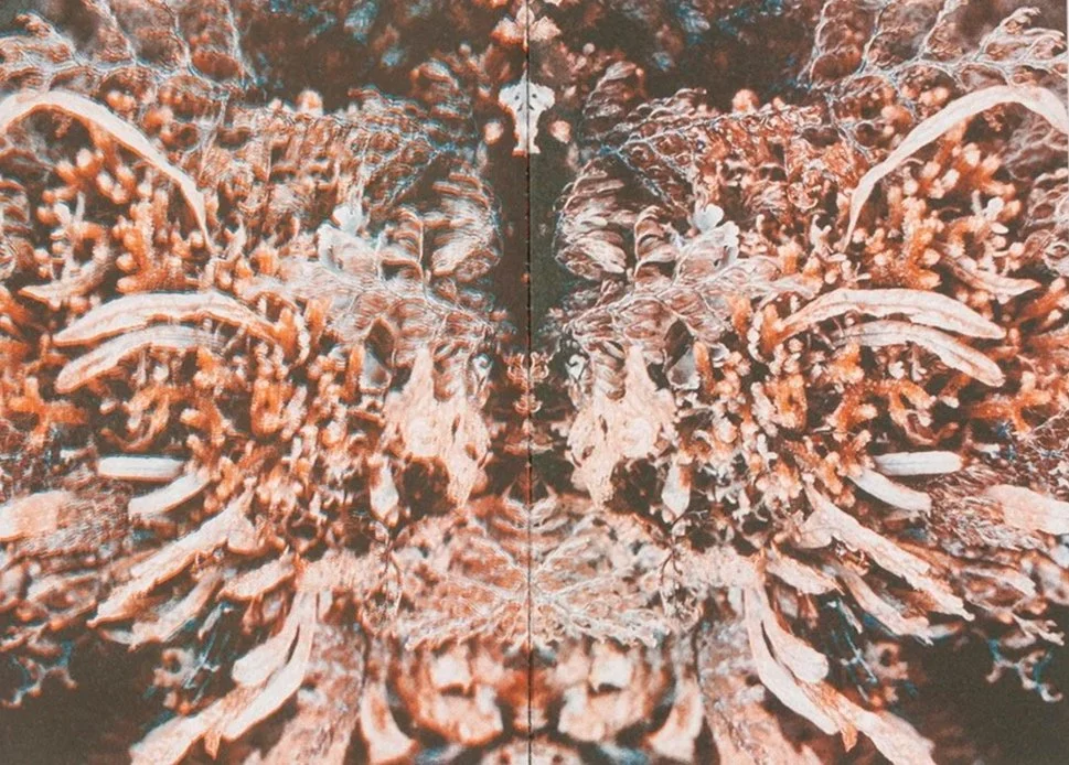 Te Whakaora | The Cure 