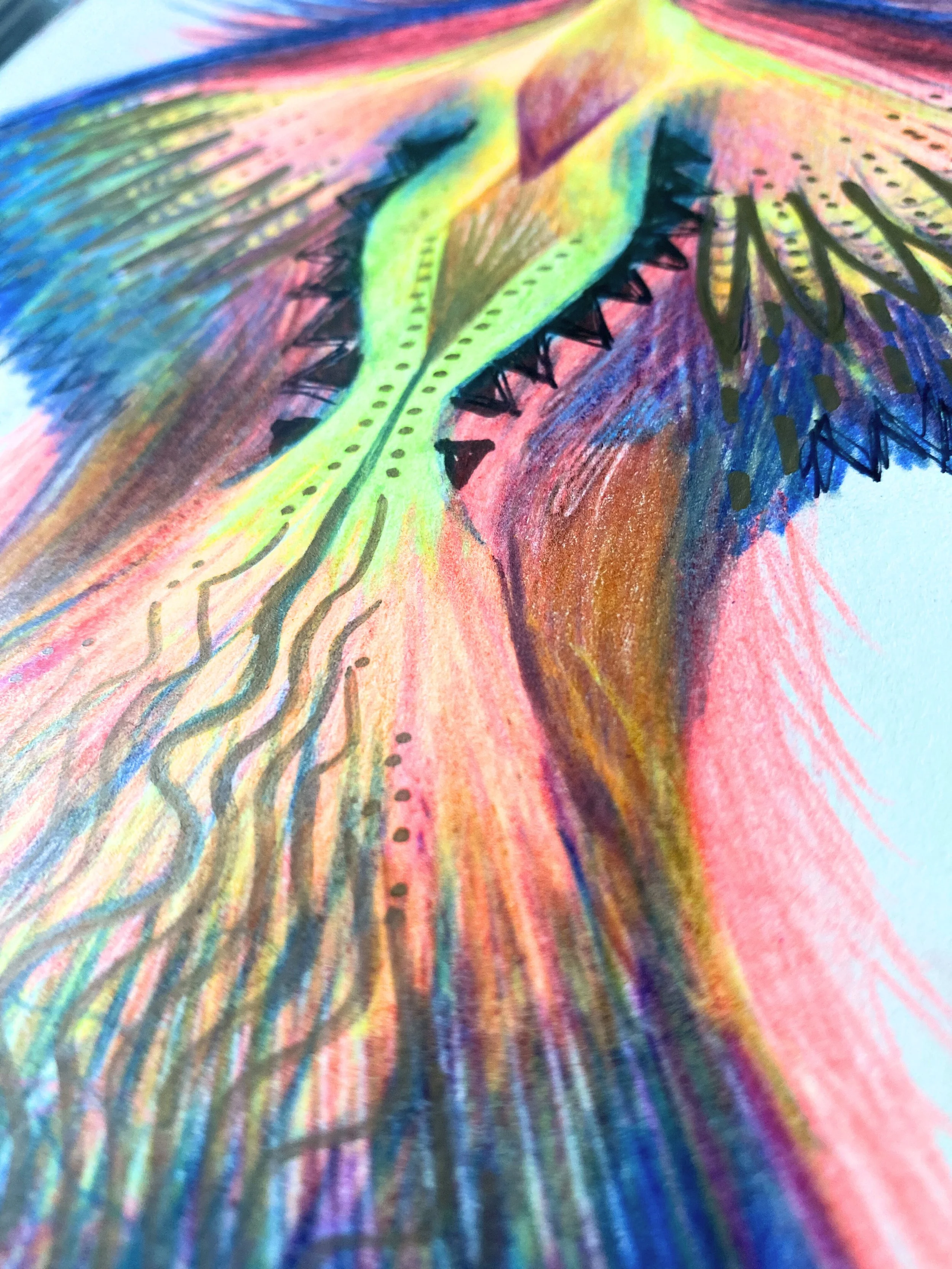 IMG_5077 - Edited.jpg