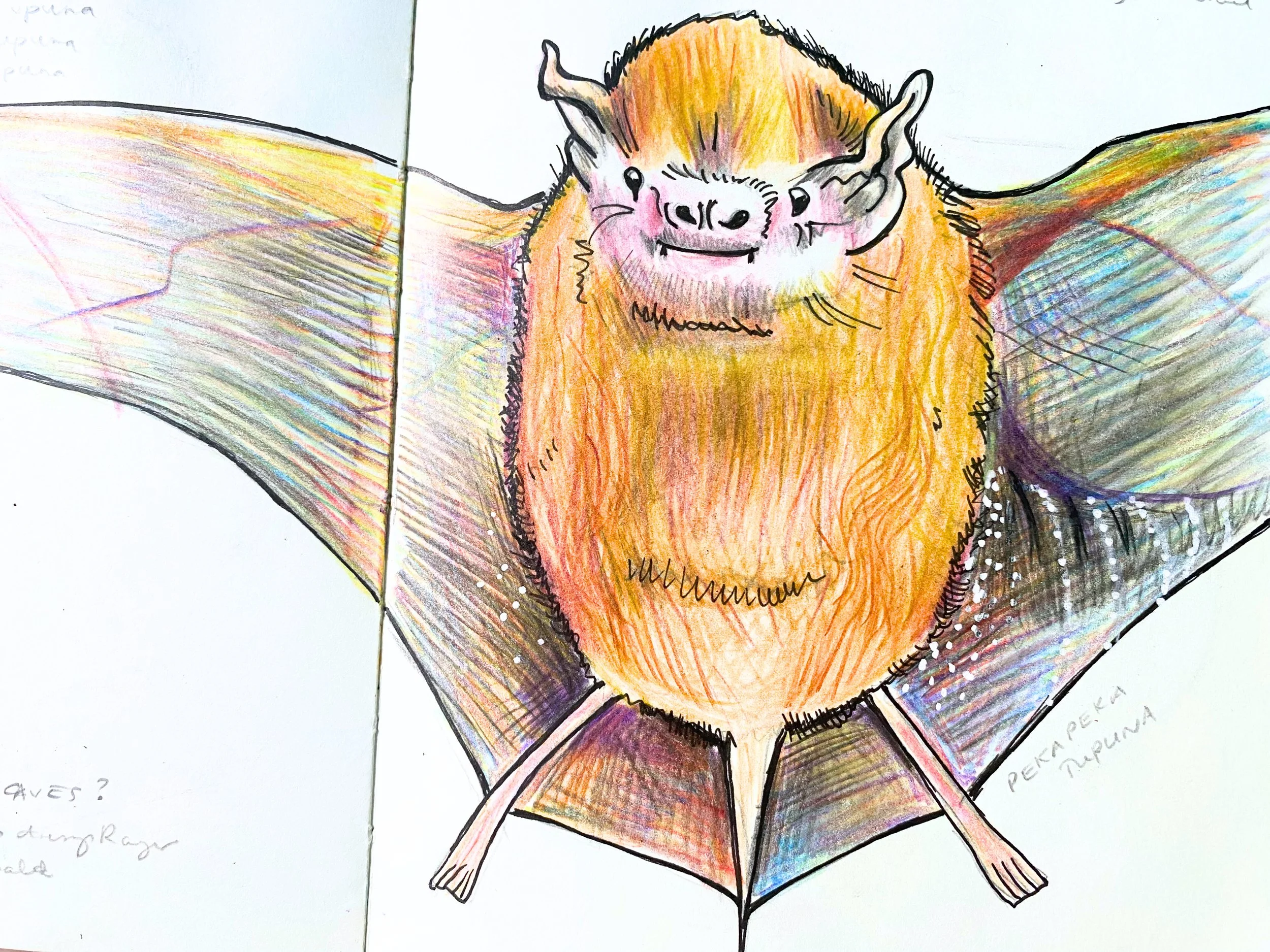 IMG_4950 - Edited.jpg