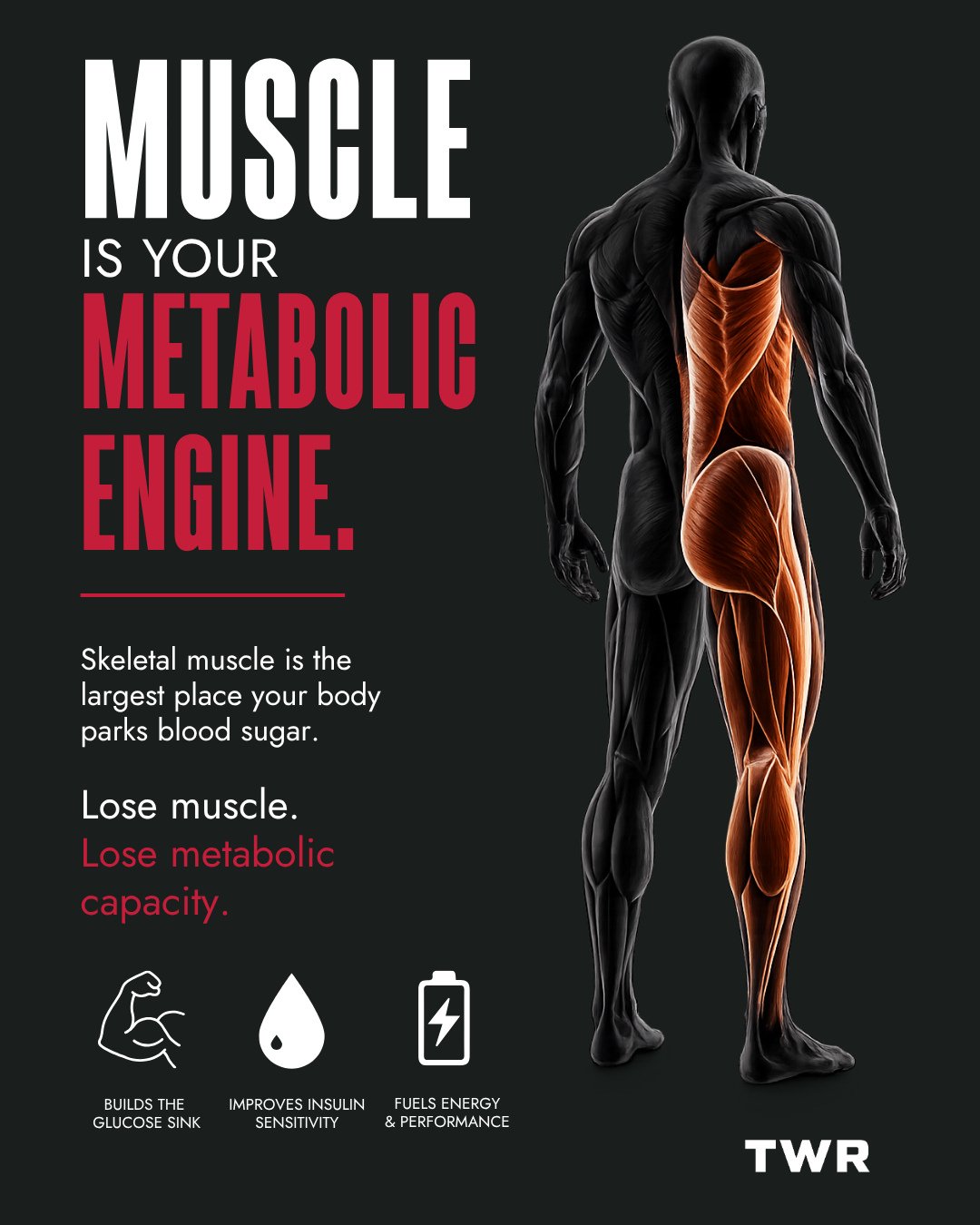 Skeletal muscle takes up most of the glucose you eat. It's the biggest sink you have. The more muscle you carry &mdash; and the more you use it under load &mdash; the better your body handles carbs, the steadier your energy, the lower your fasting in