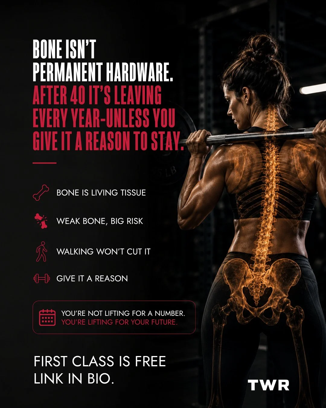 Most people think the skeleton is finished equipment. It isn't. Bone is living tissue, constantly torn down and rebuilt, and after about 40 the teardown starts winning. Women lose it faster after menopause. Men lose it too &mdash; just quieter.⁠
⁠
Le