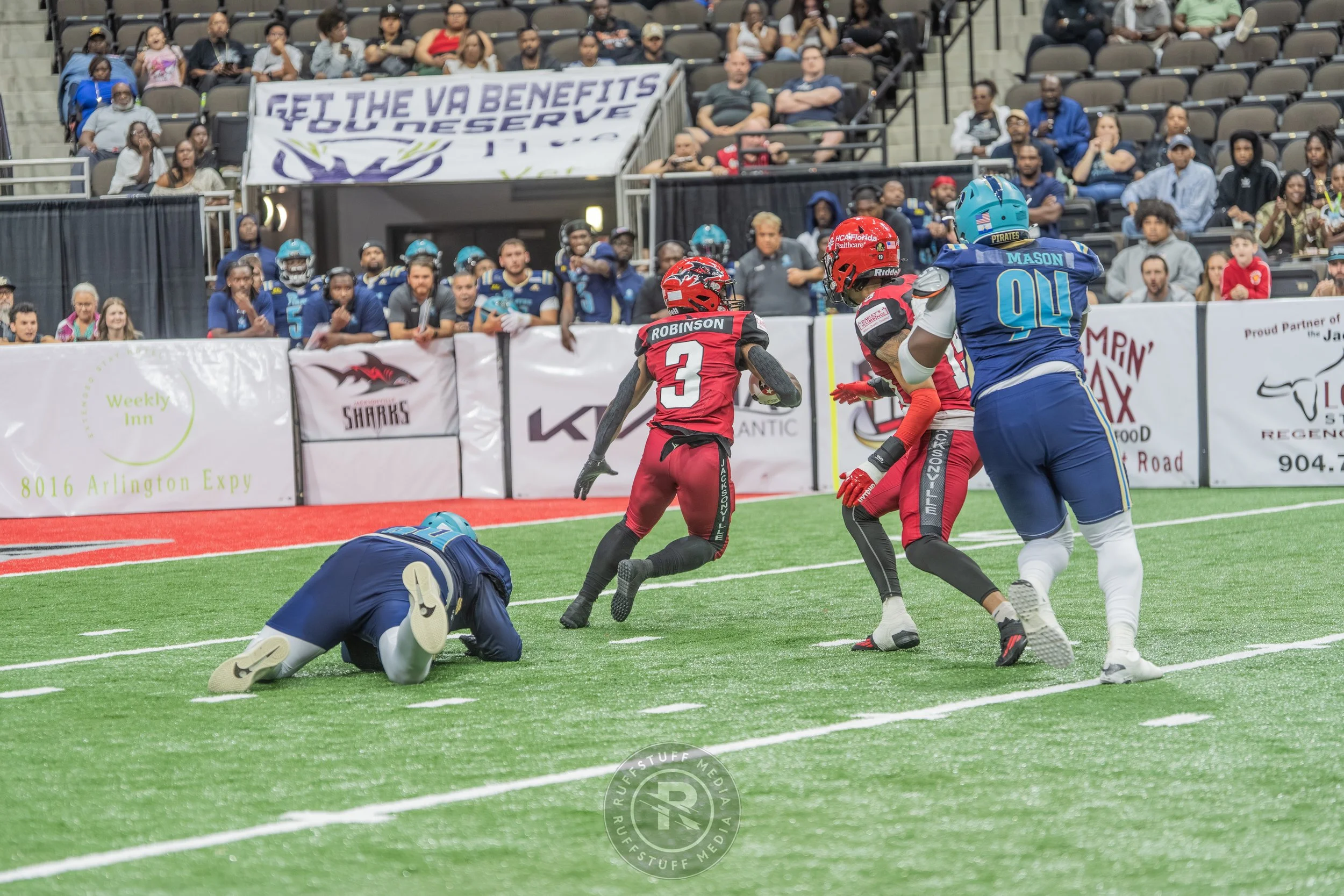 Sharks 260417-465_resize.JPG