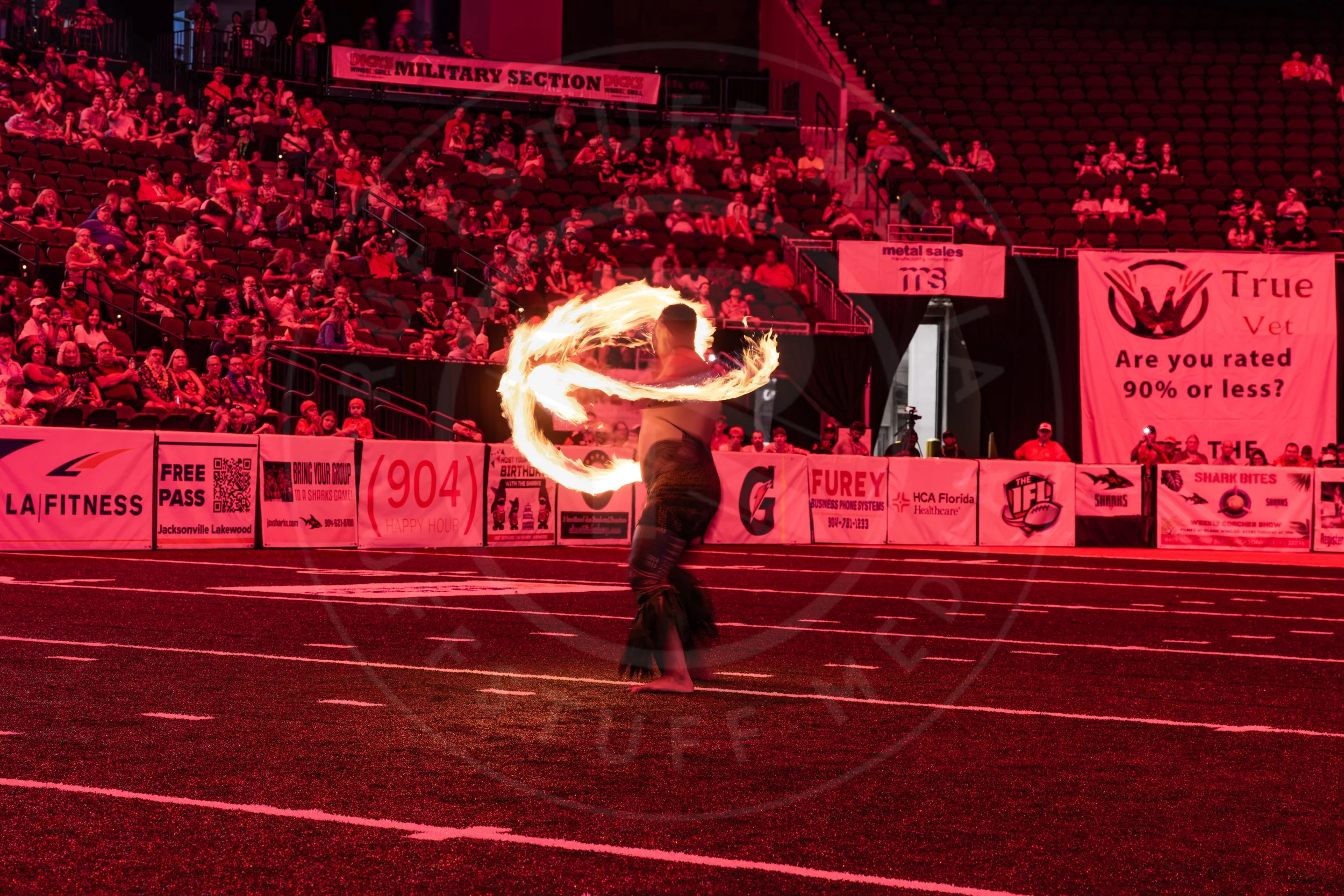 Sharks 260718-210.JPG