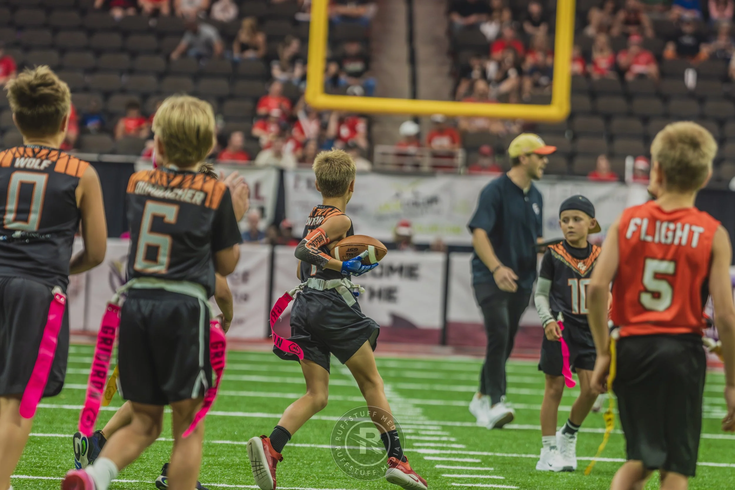 Sharks 260628-332.JPG