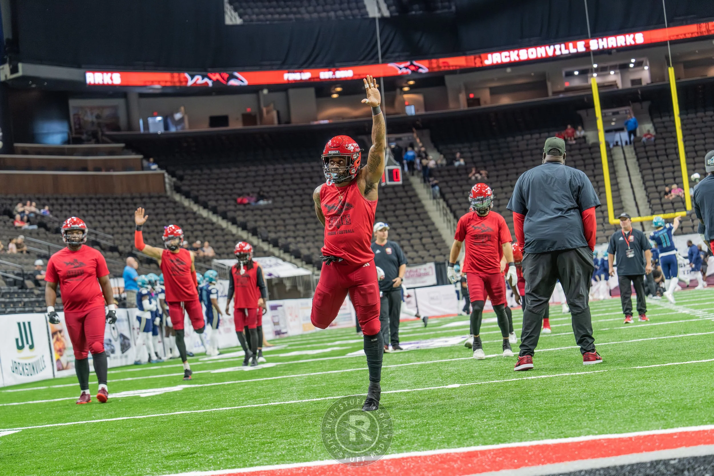 Sharks 260417-5_resize.JPG