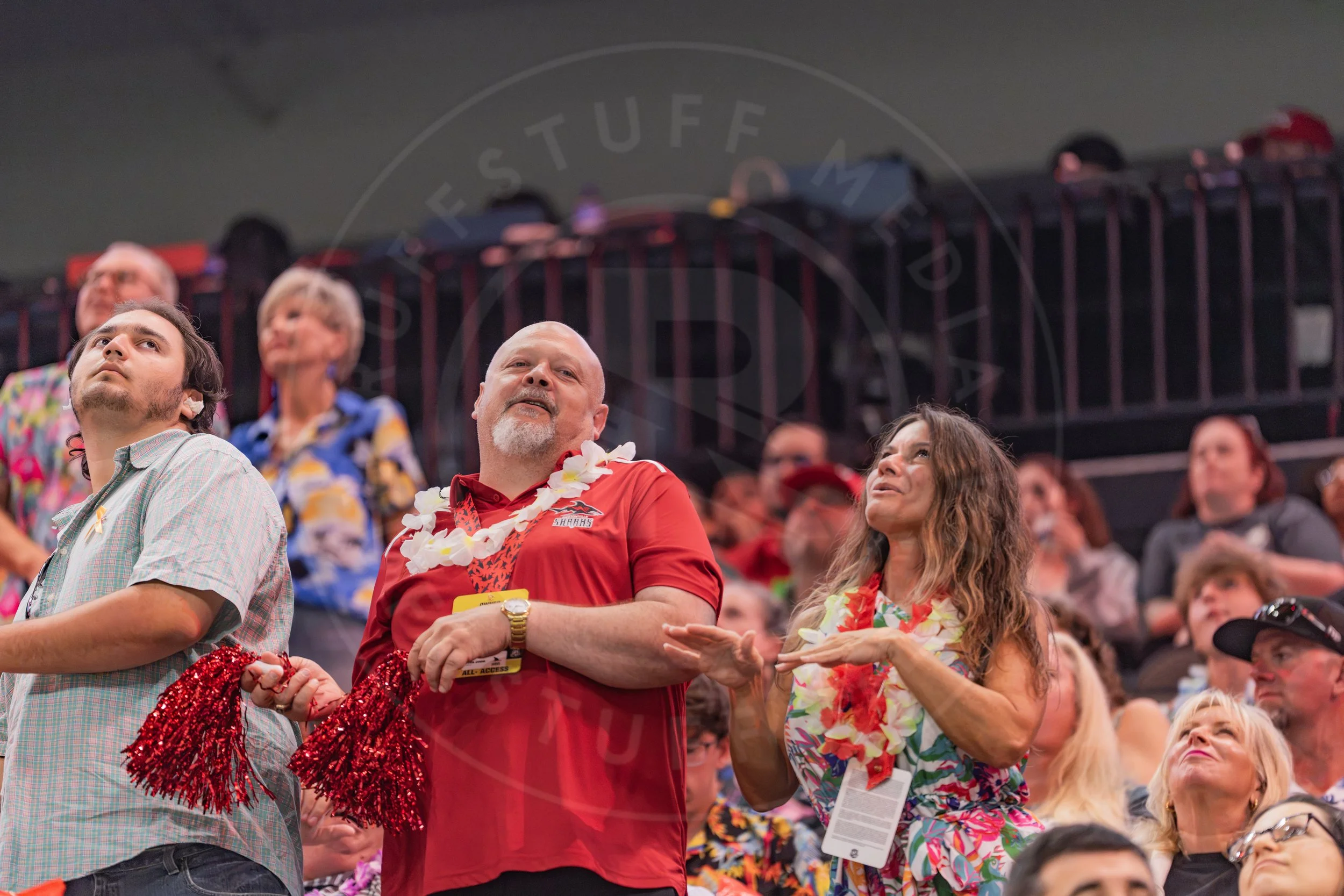 Sharks 260718-220.JPG