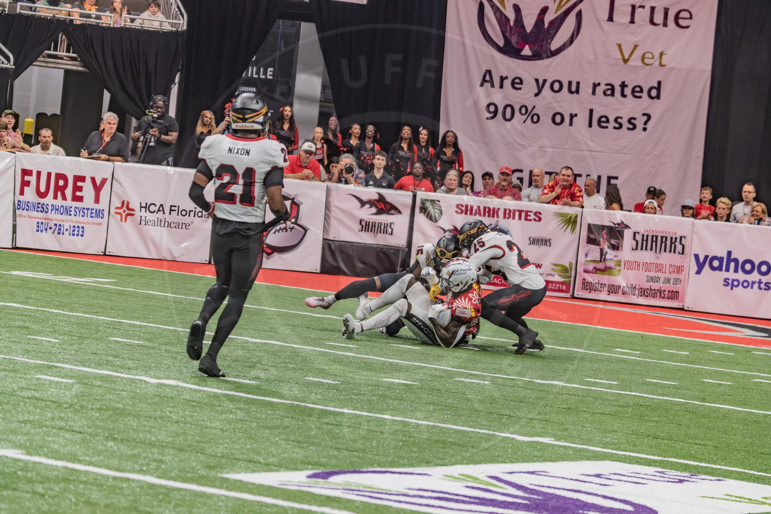 Sharks 260718-149.JPG