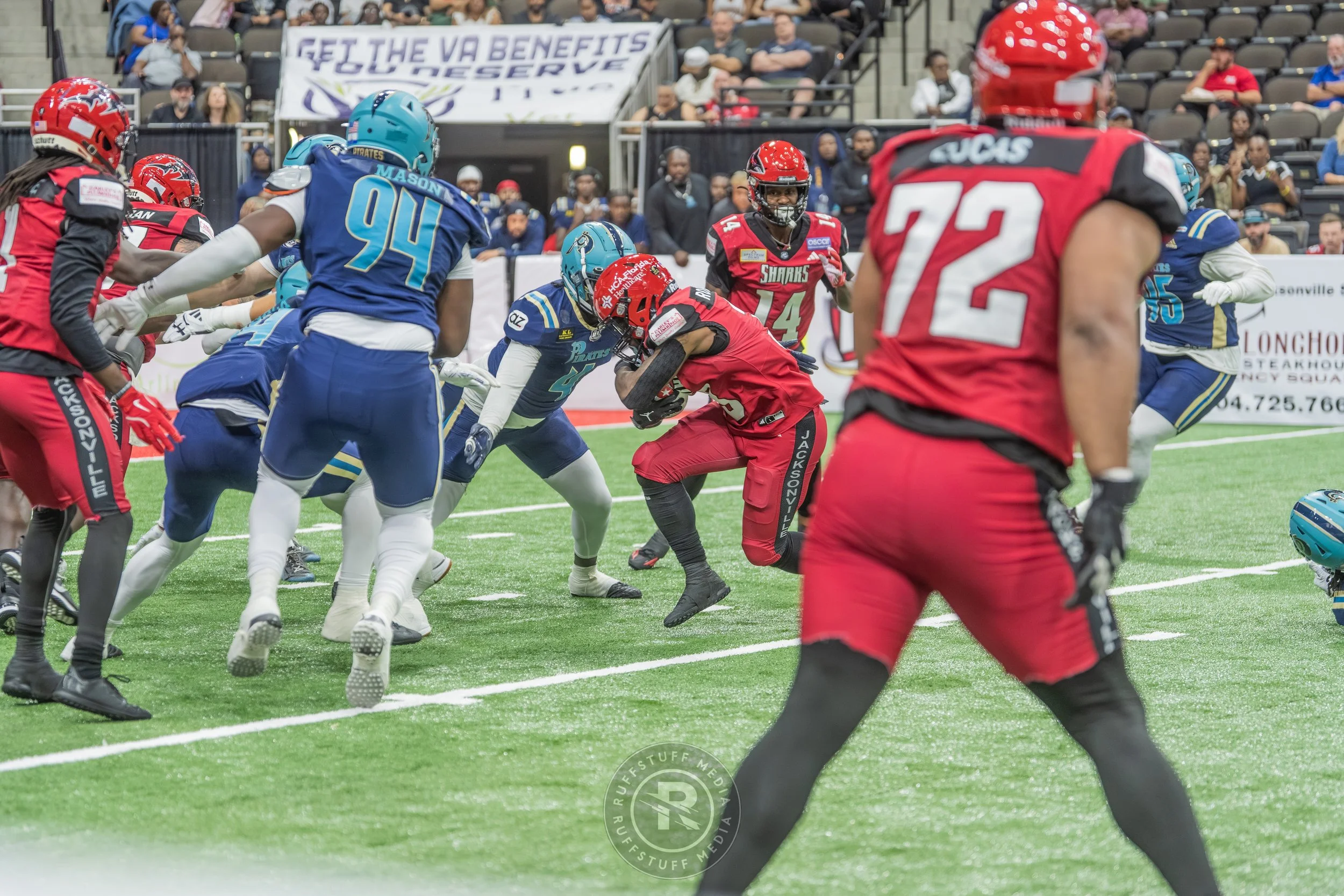 Sharks 260417-441_resize.JPG