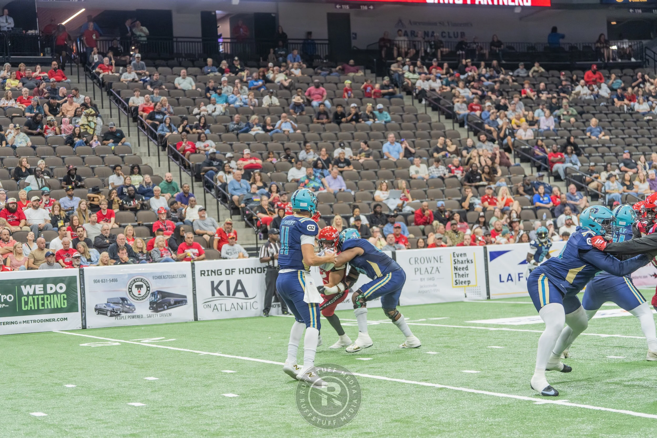 Sharks 260417-395_resize.JPG