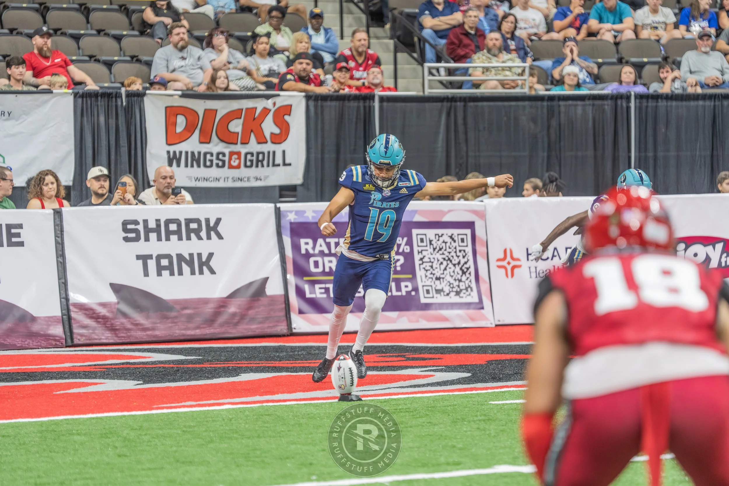 Sharks 260417-414.JPG