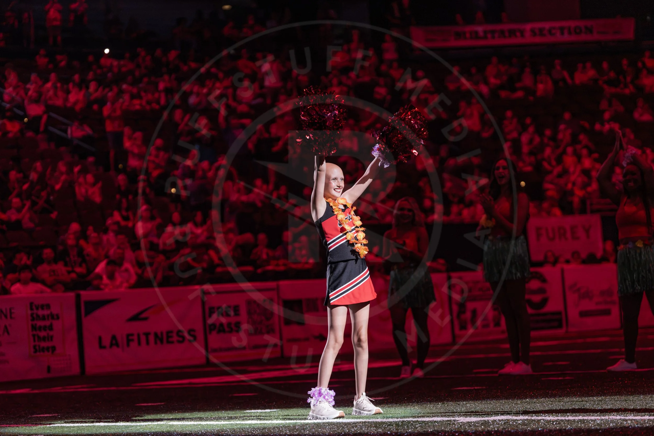 Sharks 260718-185.JPG