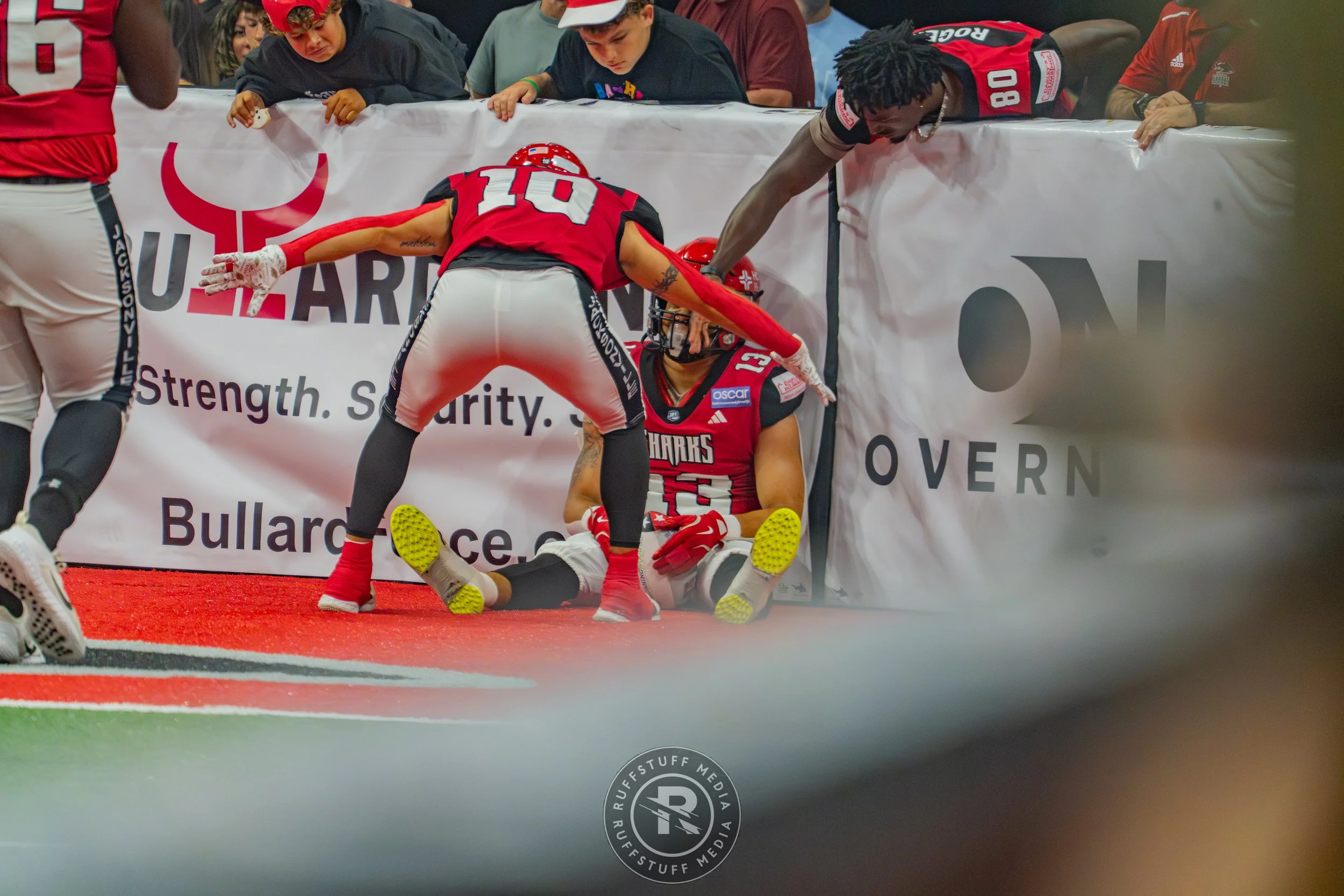 Sharks 260606-139.jpg