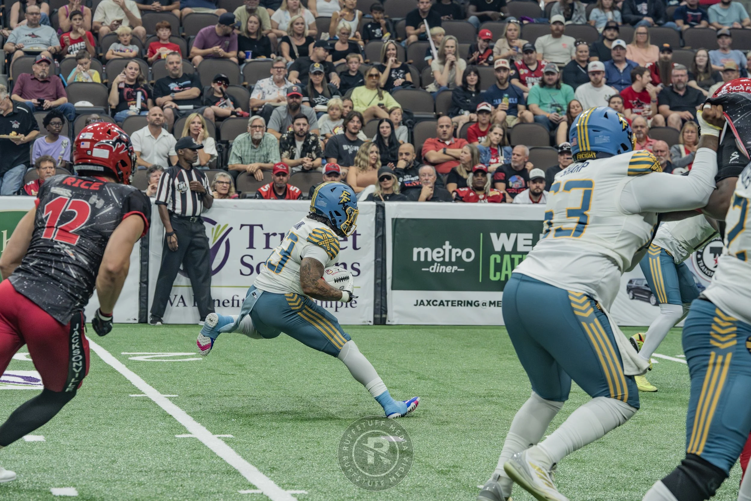 Sharks 260530-145.JPG
