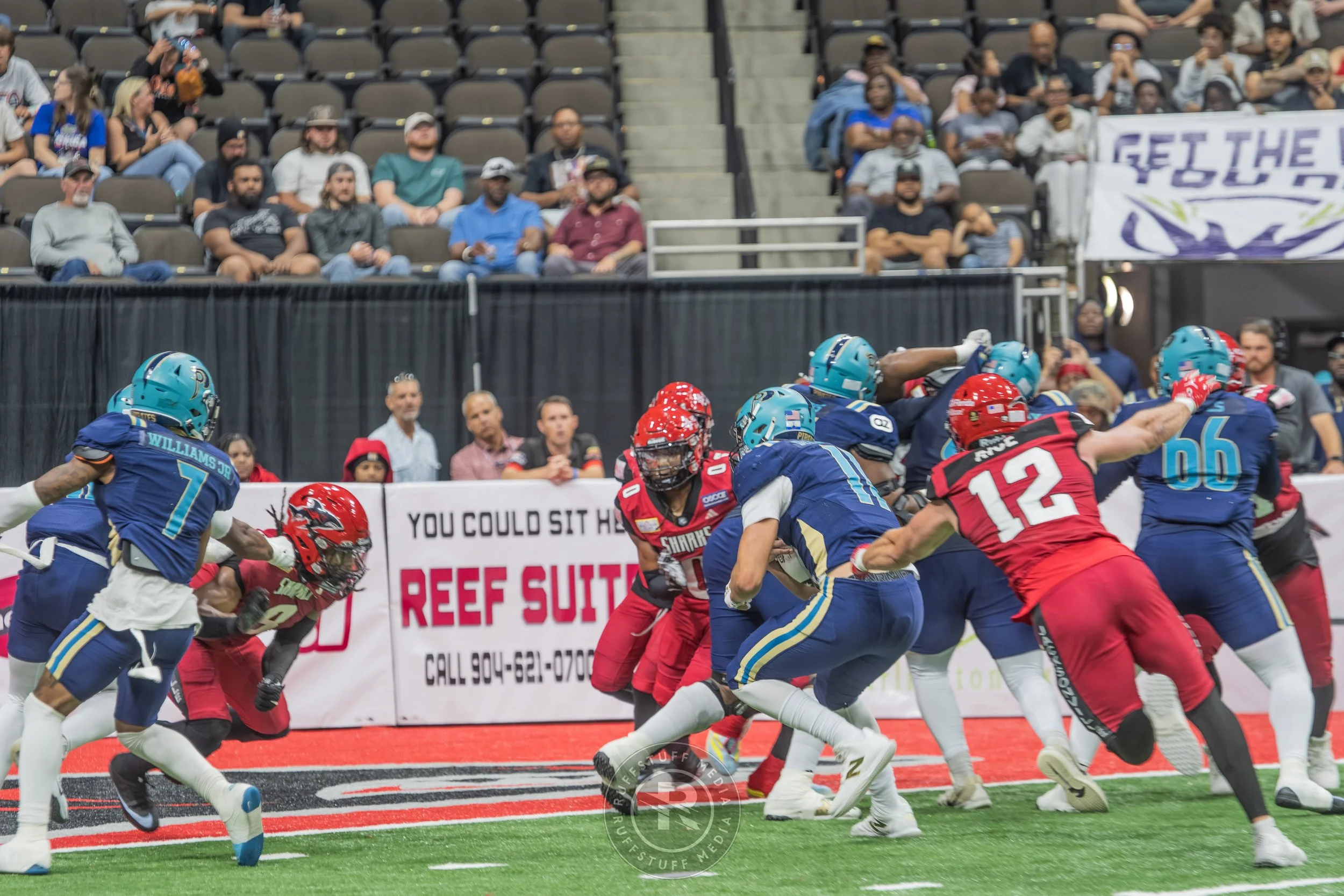 Sharks 260417-243.JPG
