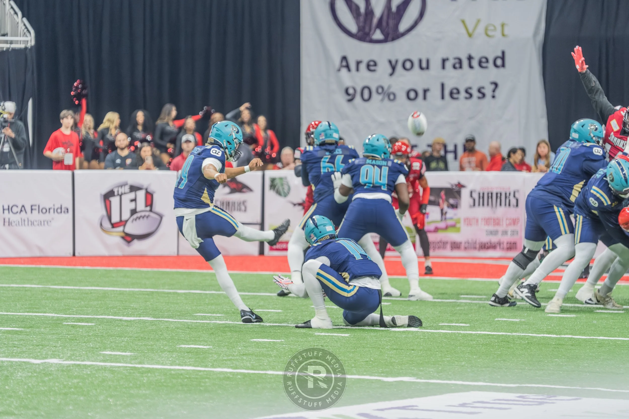 Sharks 260417-157.JPG