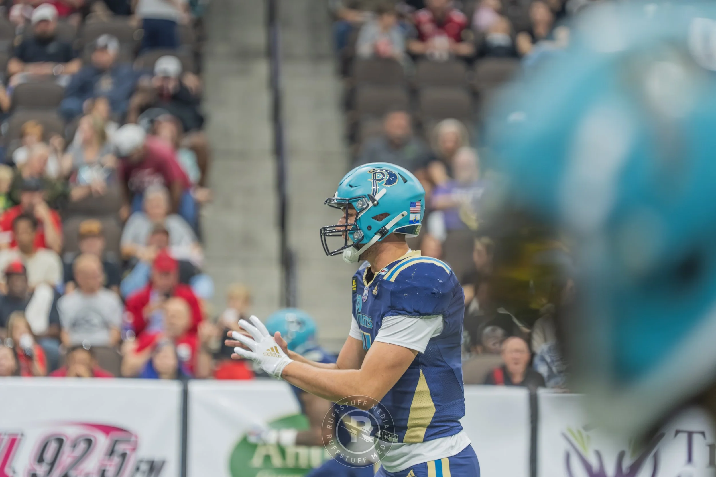 Sharks 260417-186.JPG