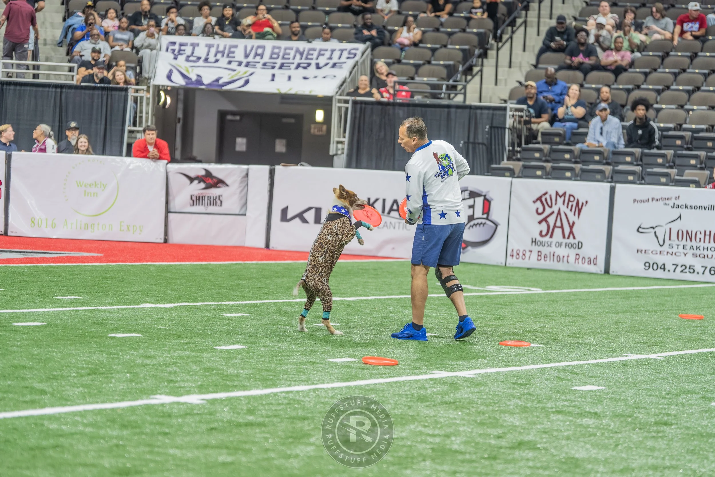 Sharks 260417-304.JPG
