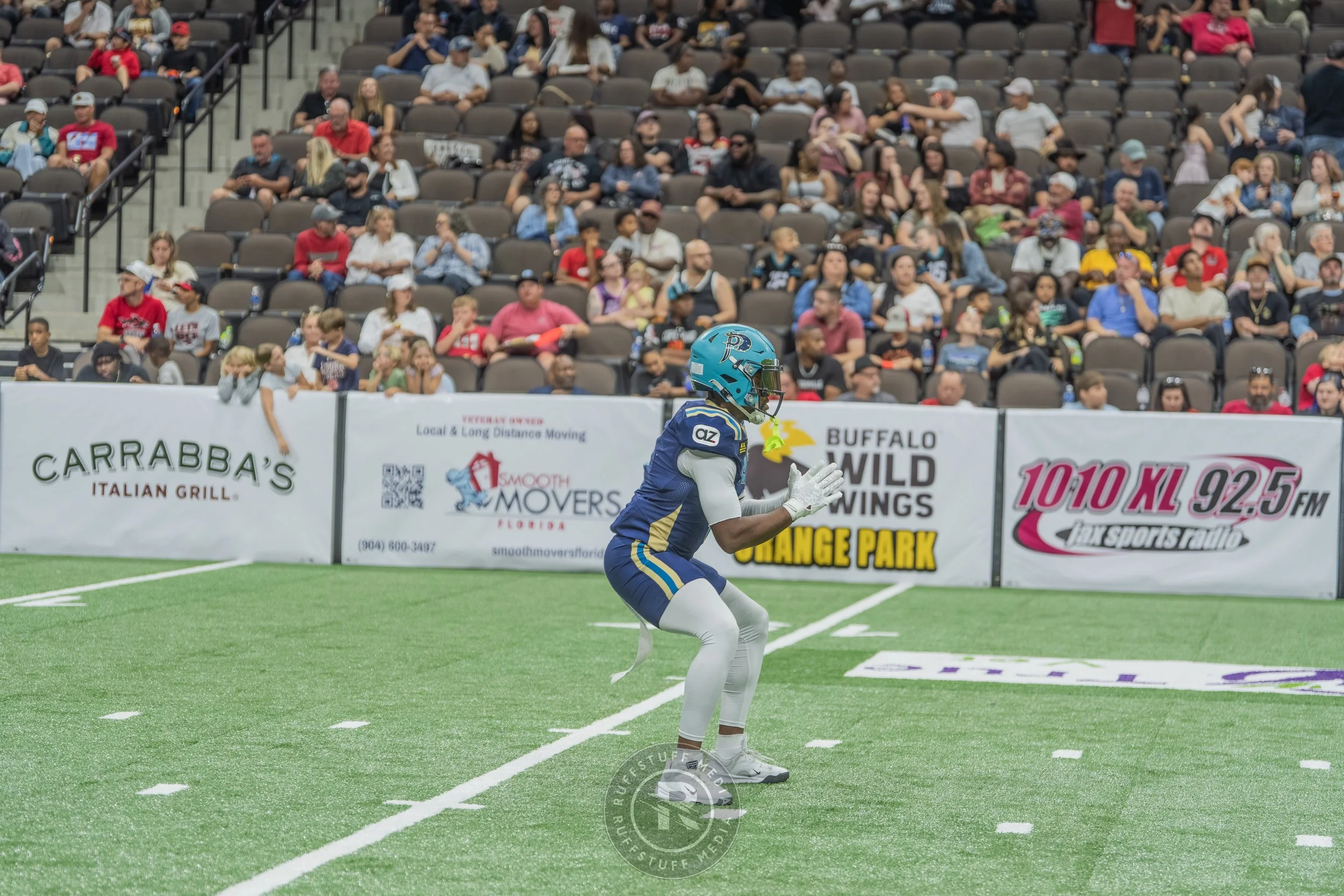 Sharks 260417-335.JPG