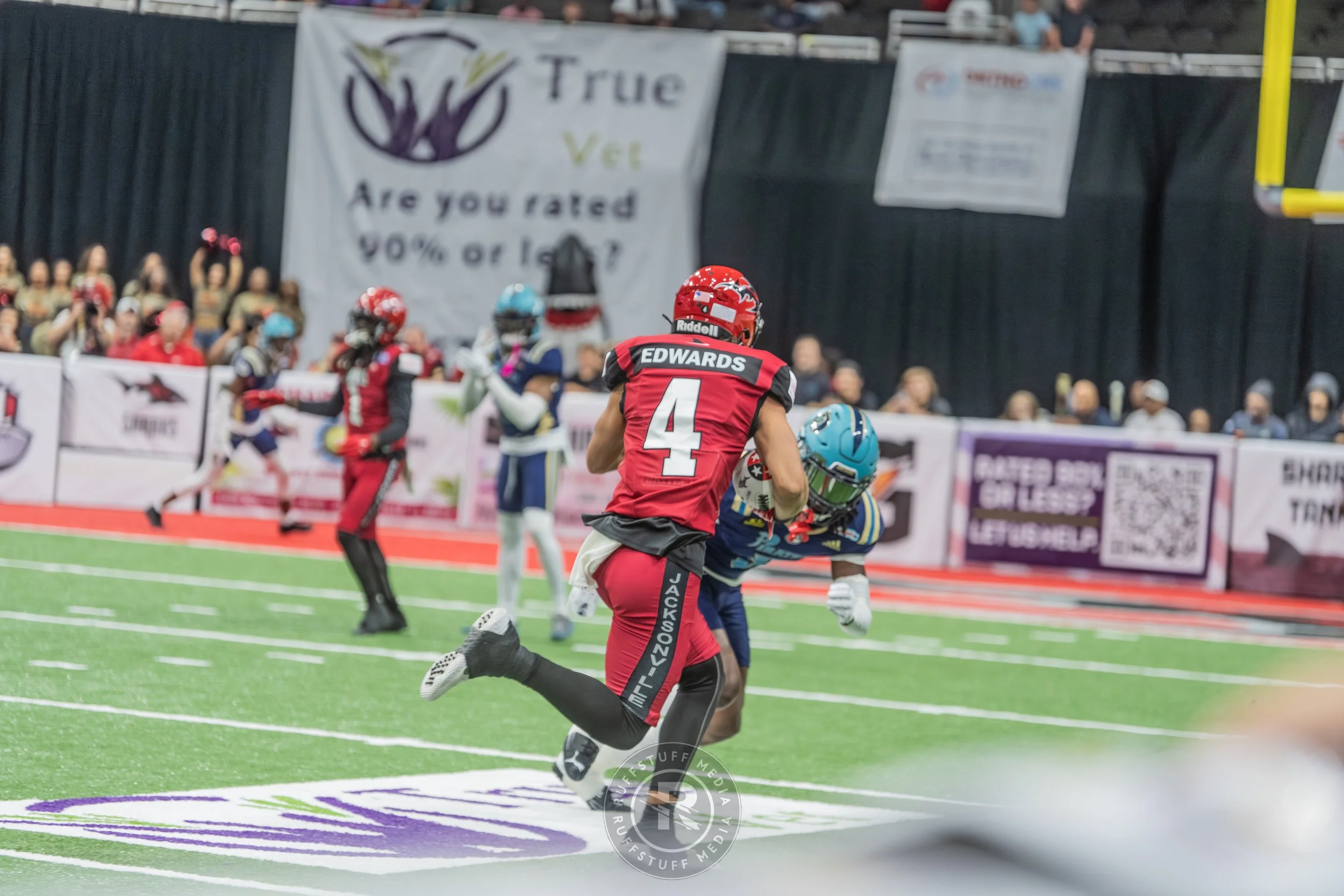 Sharks 260417-514.JPG