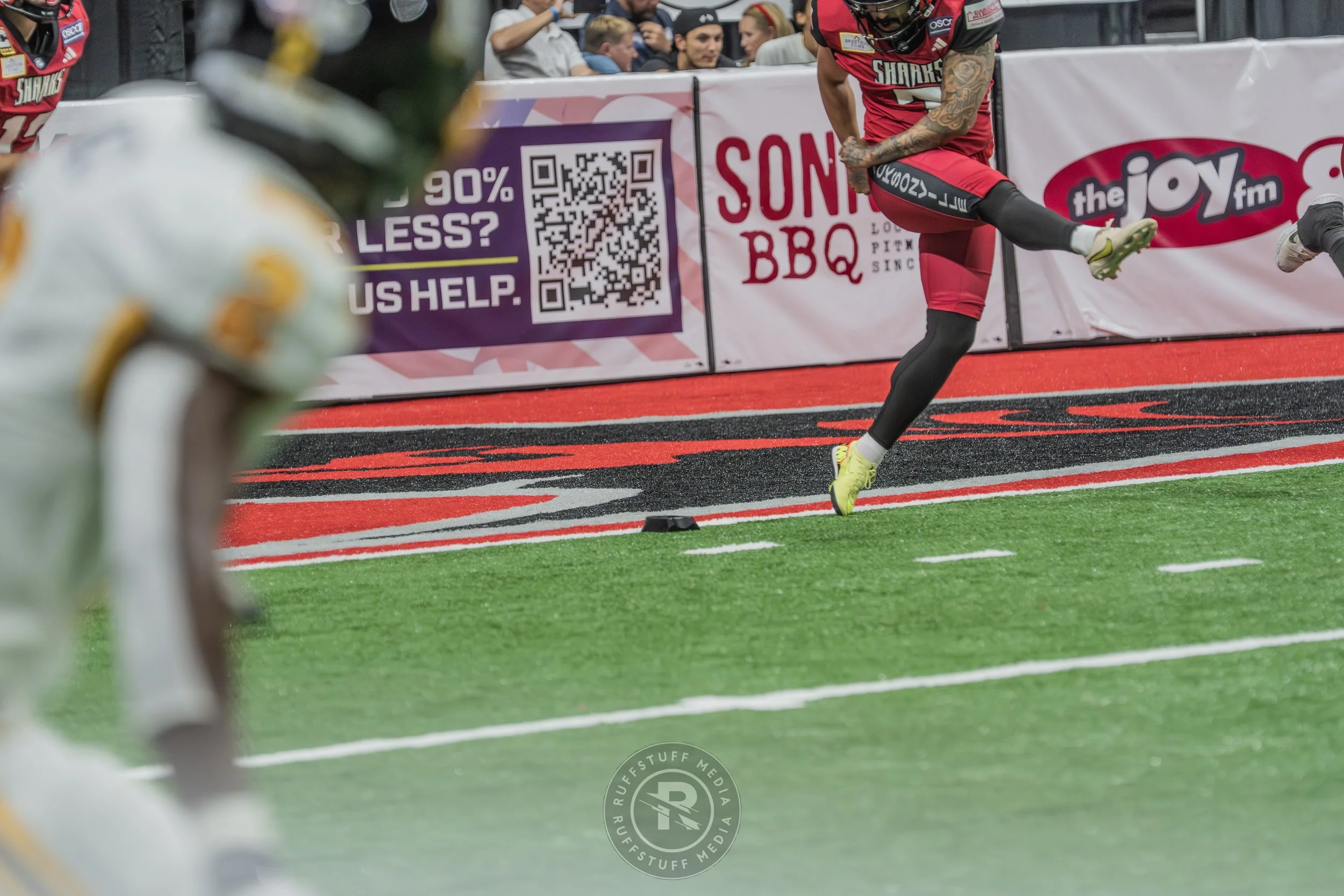 Sharks 260509-527_resize.JPG