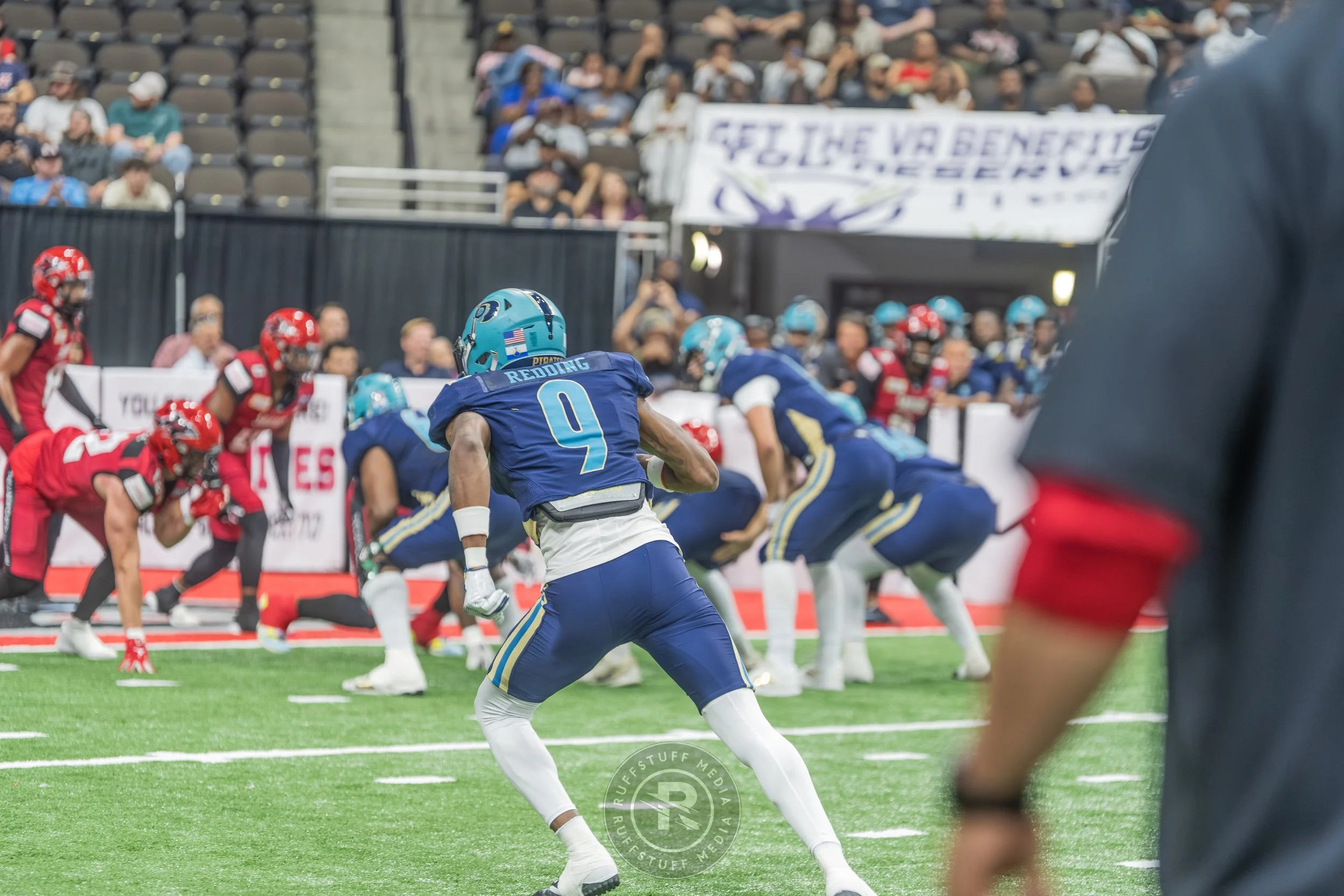 Sharks 260417-197.JPG