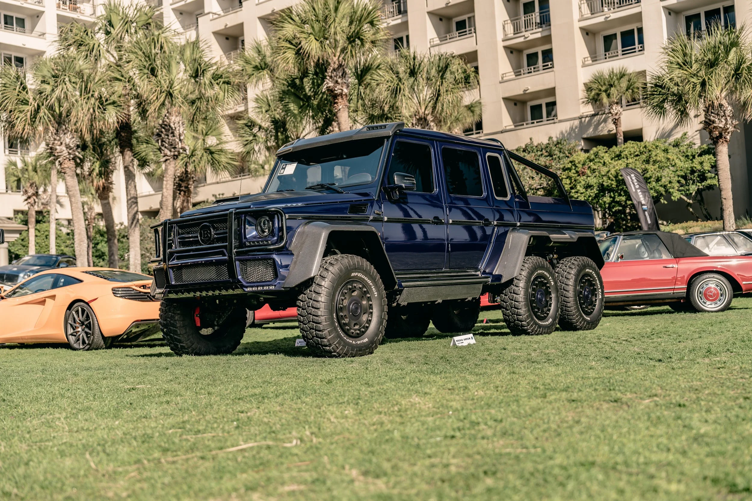 IG-Amelia 260305-2_resize.JPG