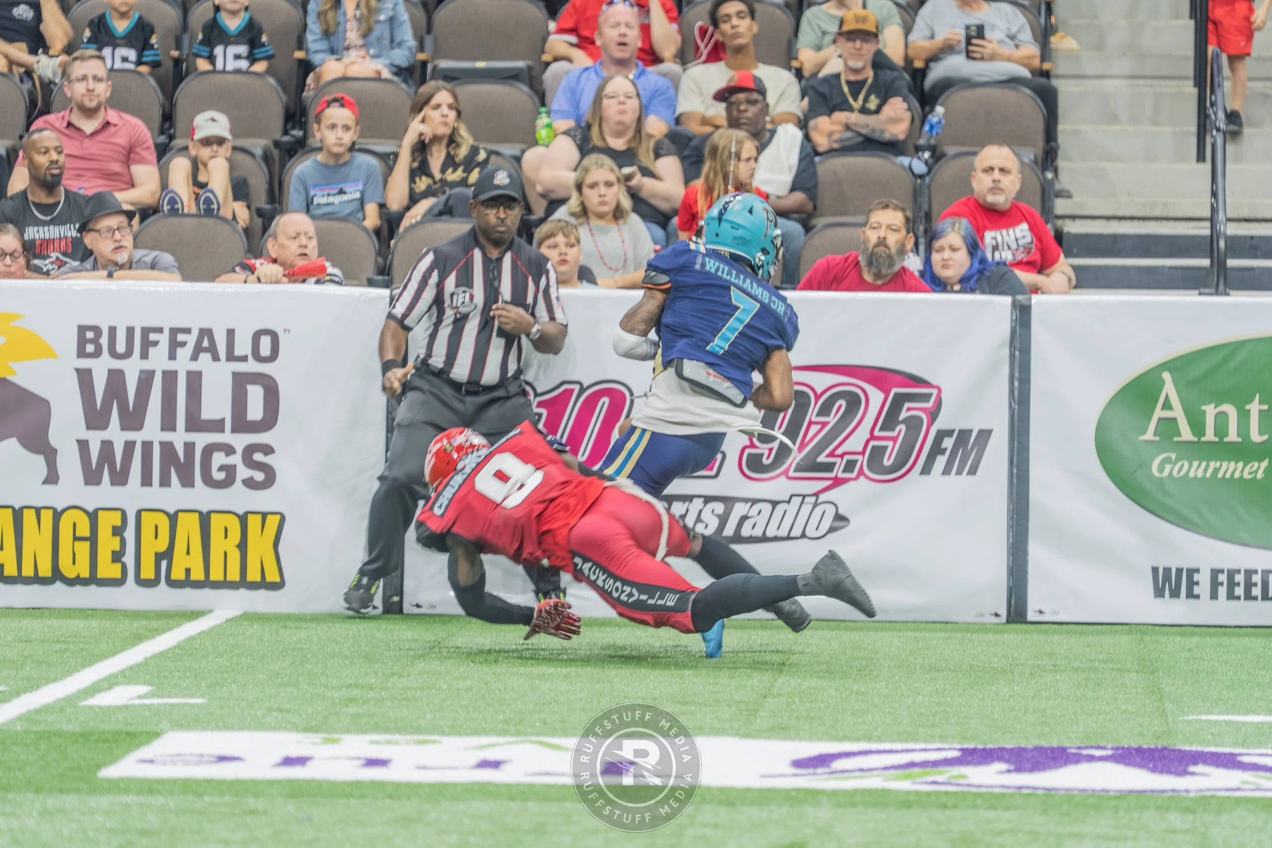 Sharks 260417-122.JPG