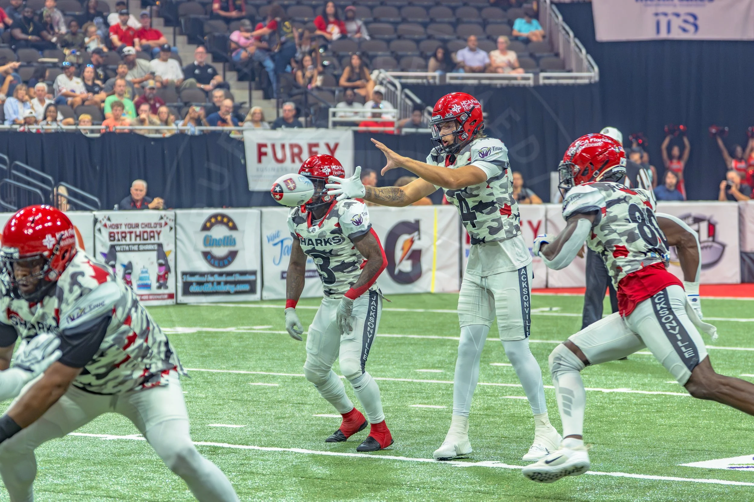 Sharks 260726-53.JPG