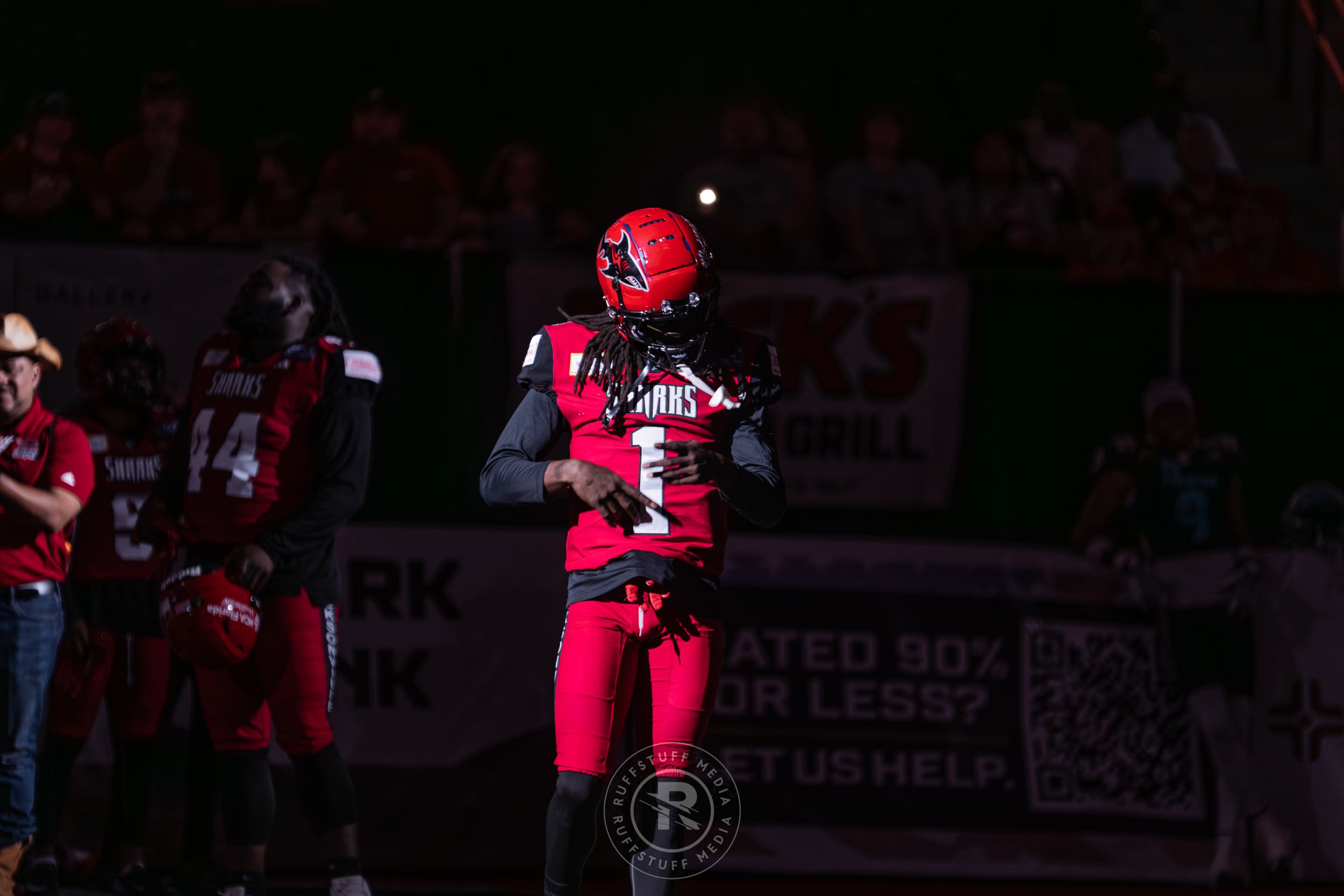 Sharks 260417-82.JPG