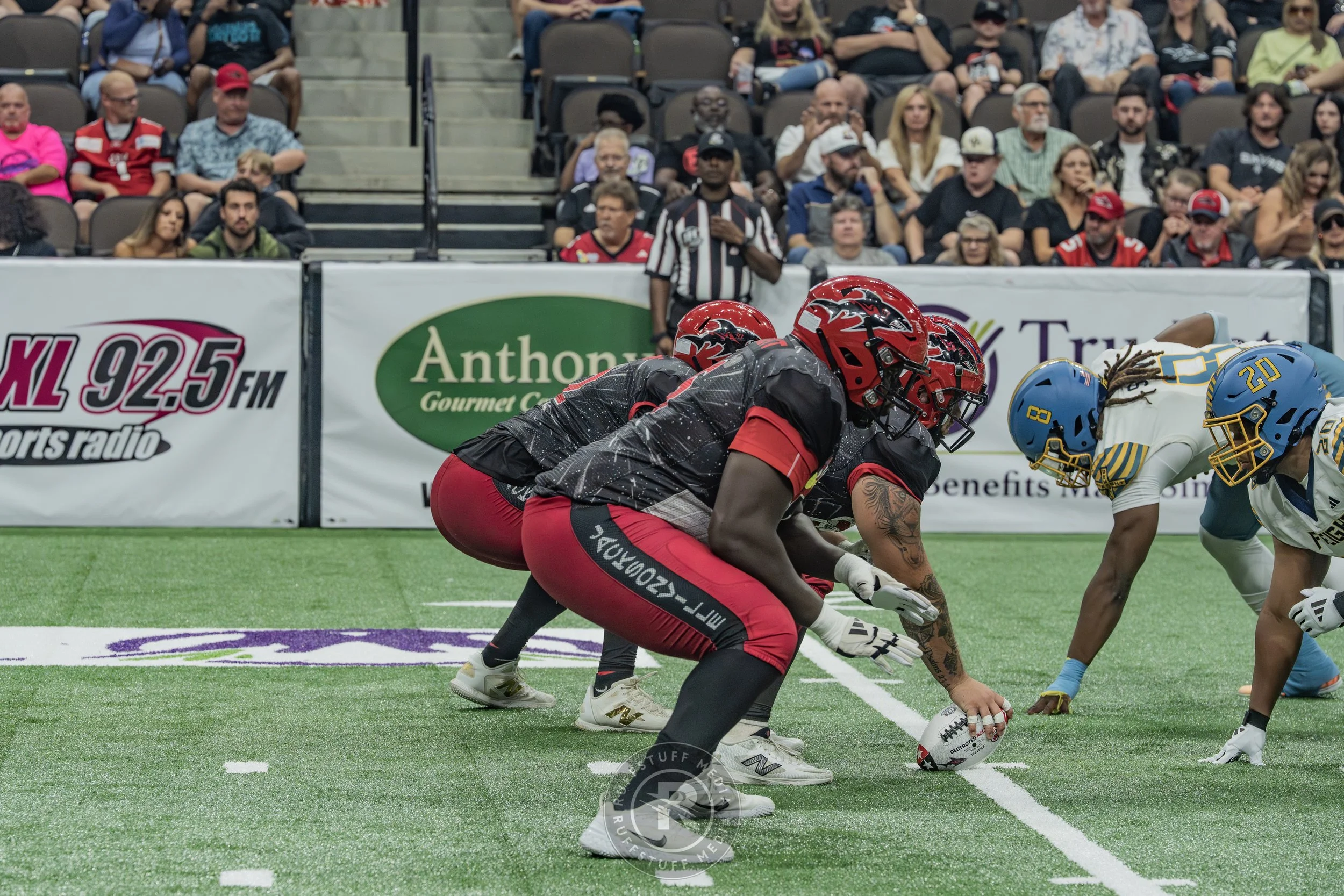 Sharks 260530-253.JPG