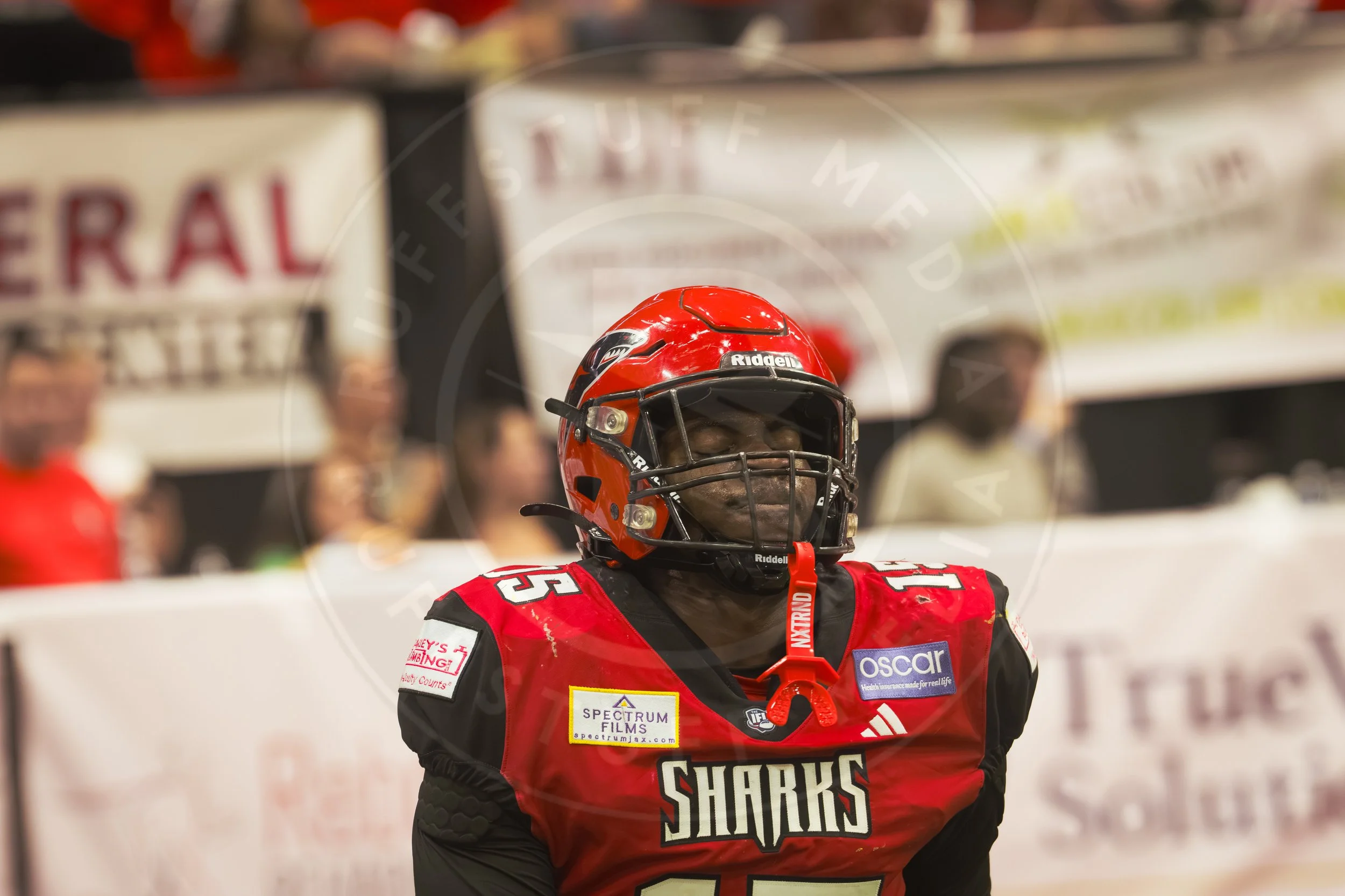 Sharks 260801-135.JPG