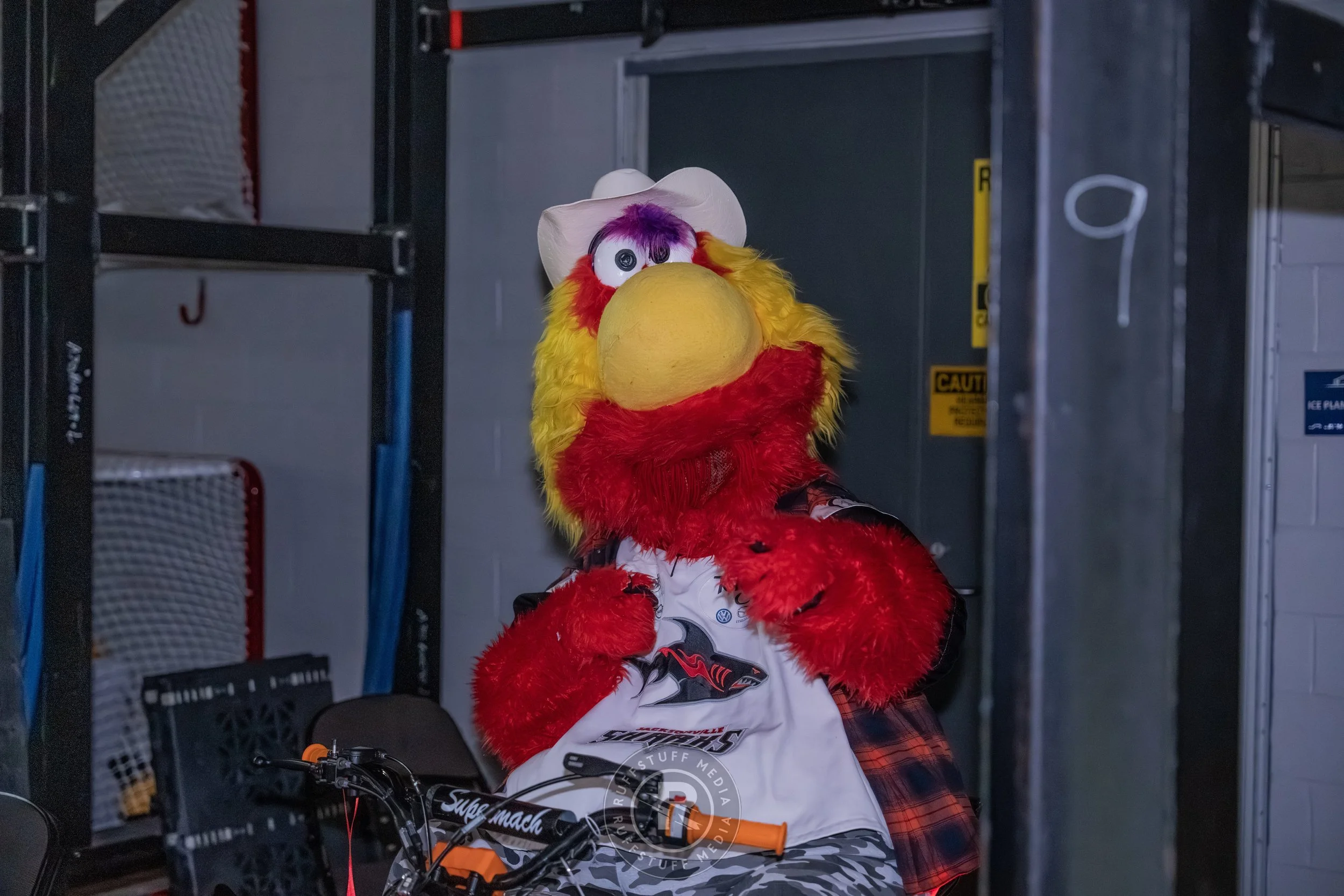 Sharks 260417-20_resize.JPG