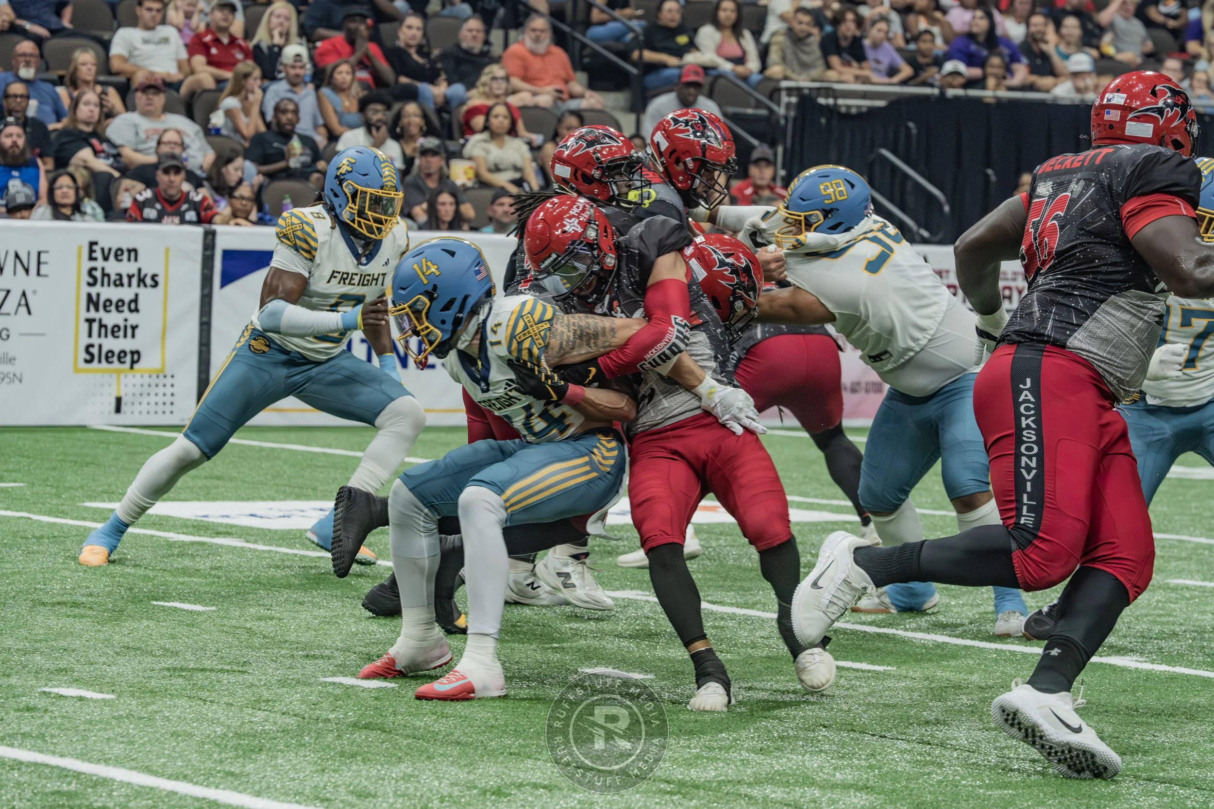 Sharks 260530-314.JPG