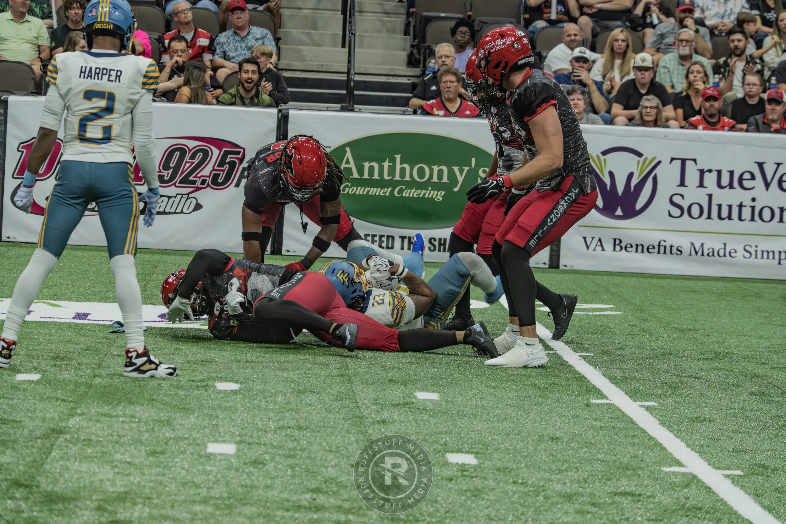 Sharks 260530-536.JPG